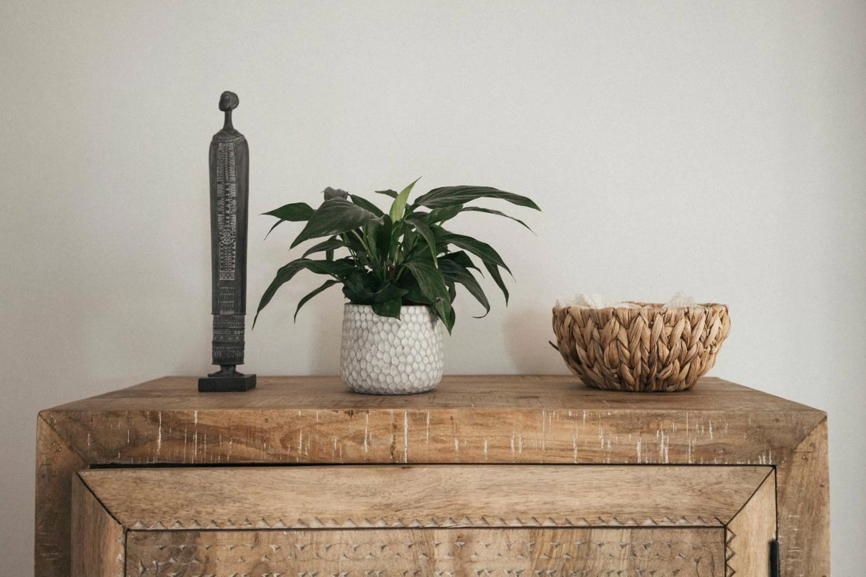 Dreamsea Surf Guest House