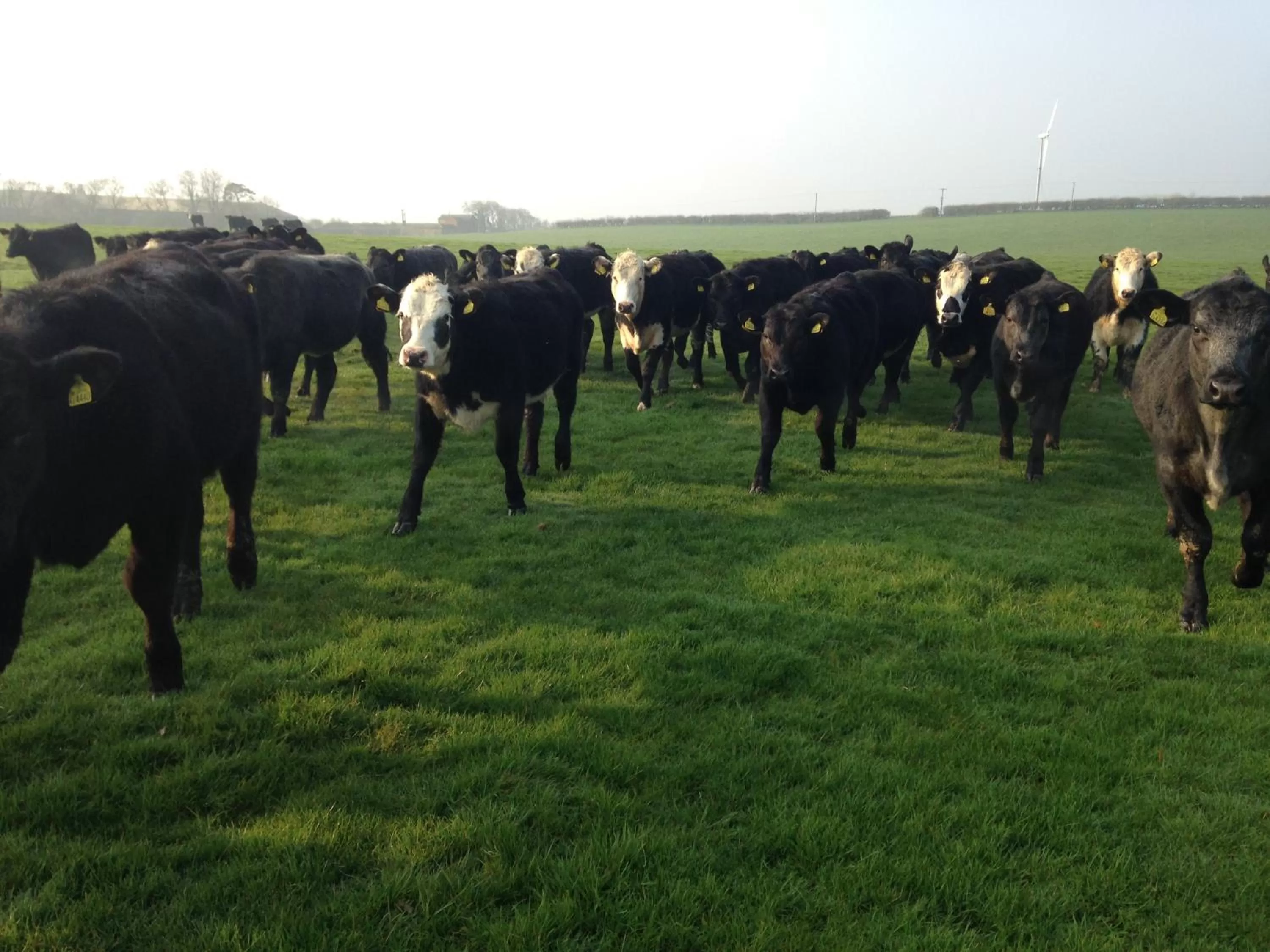 Property building in Murcott Mill