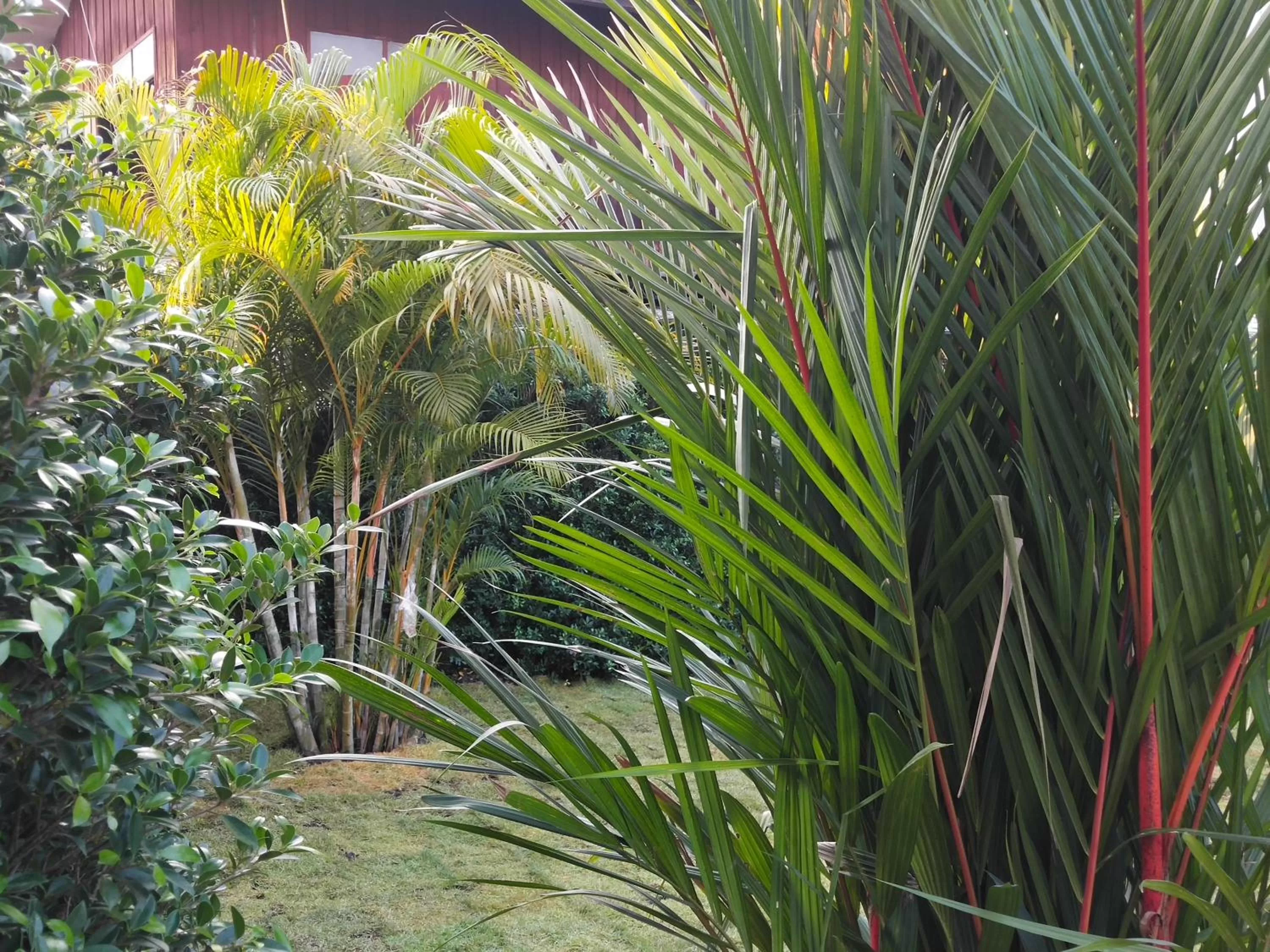 Garden view in Hotel De Wualai