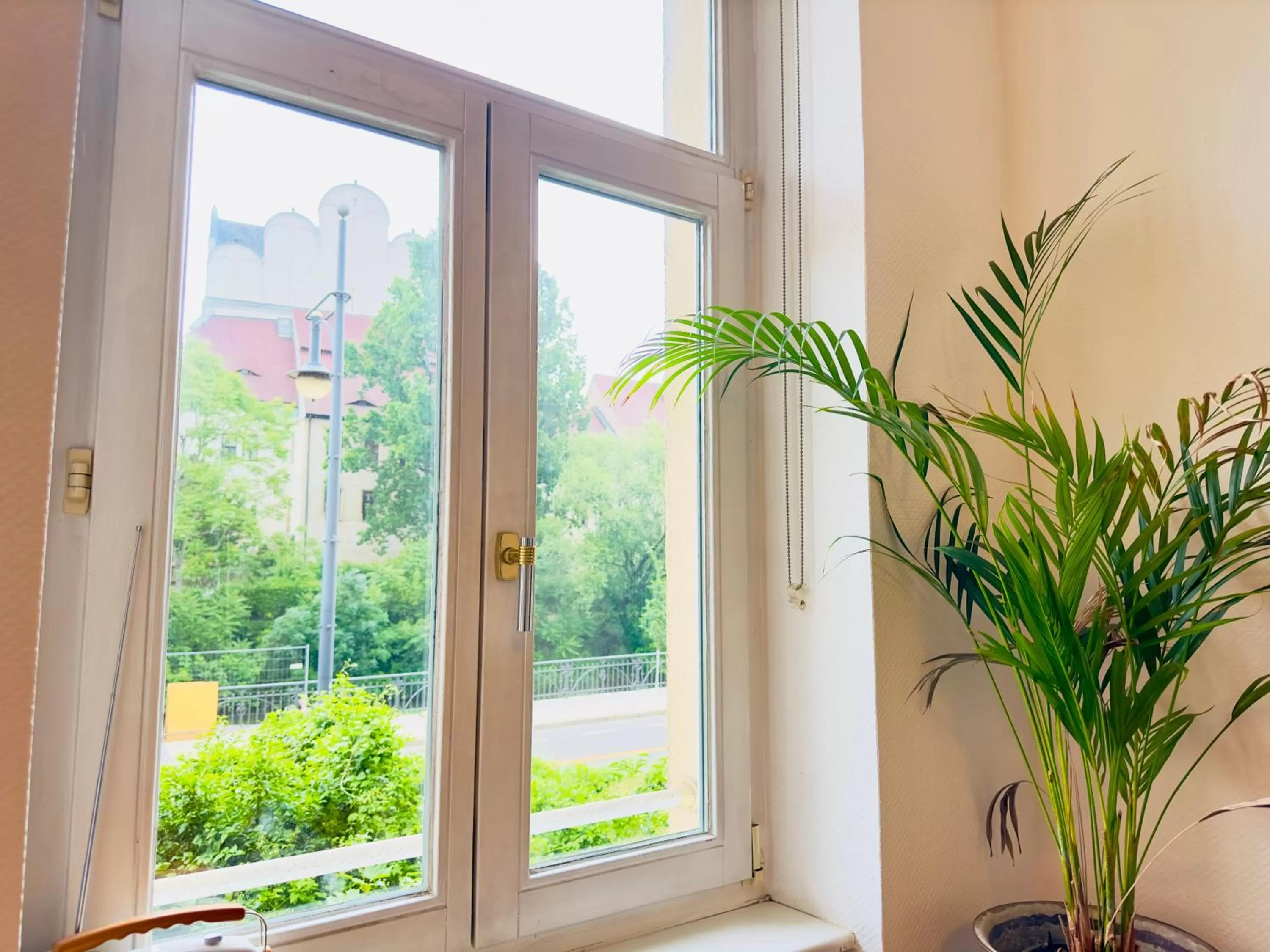 Saale, Marktplatz Zentrum, Apartmenthaus am Dom von Plant Room