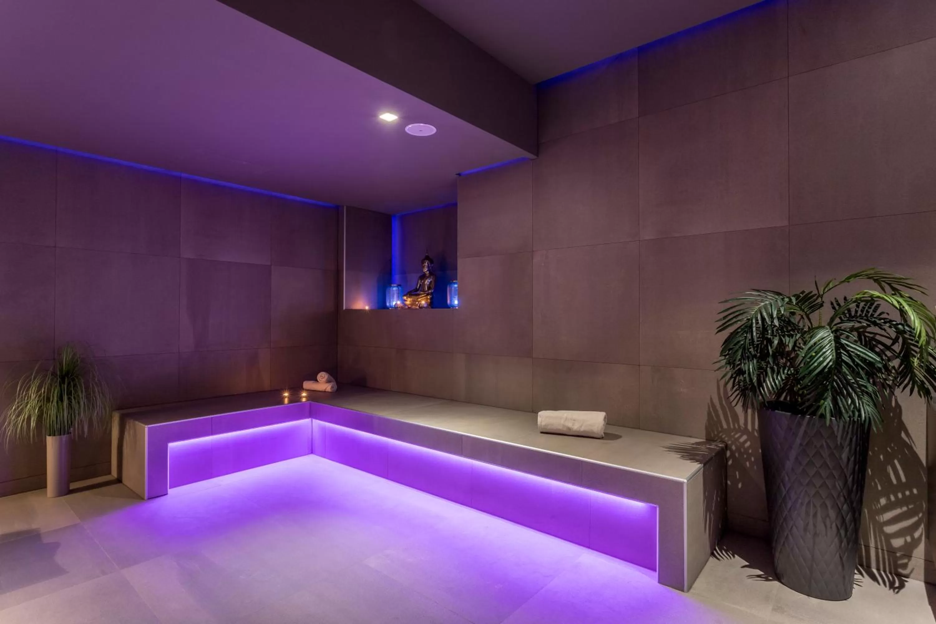 Spa and wellness centre/facilities in Cornaro Hotel