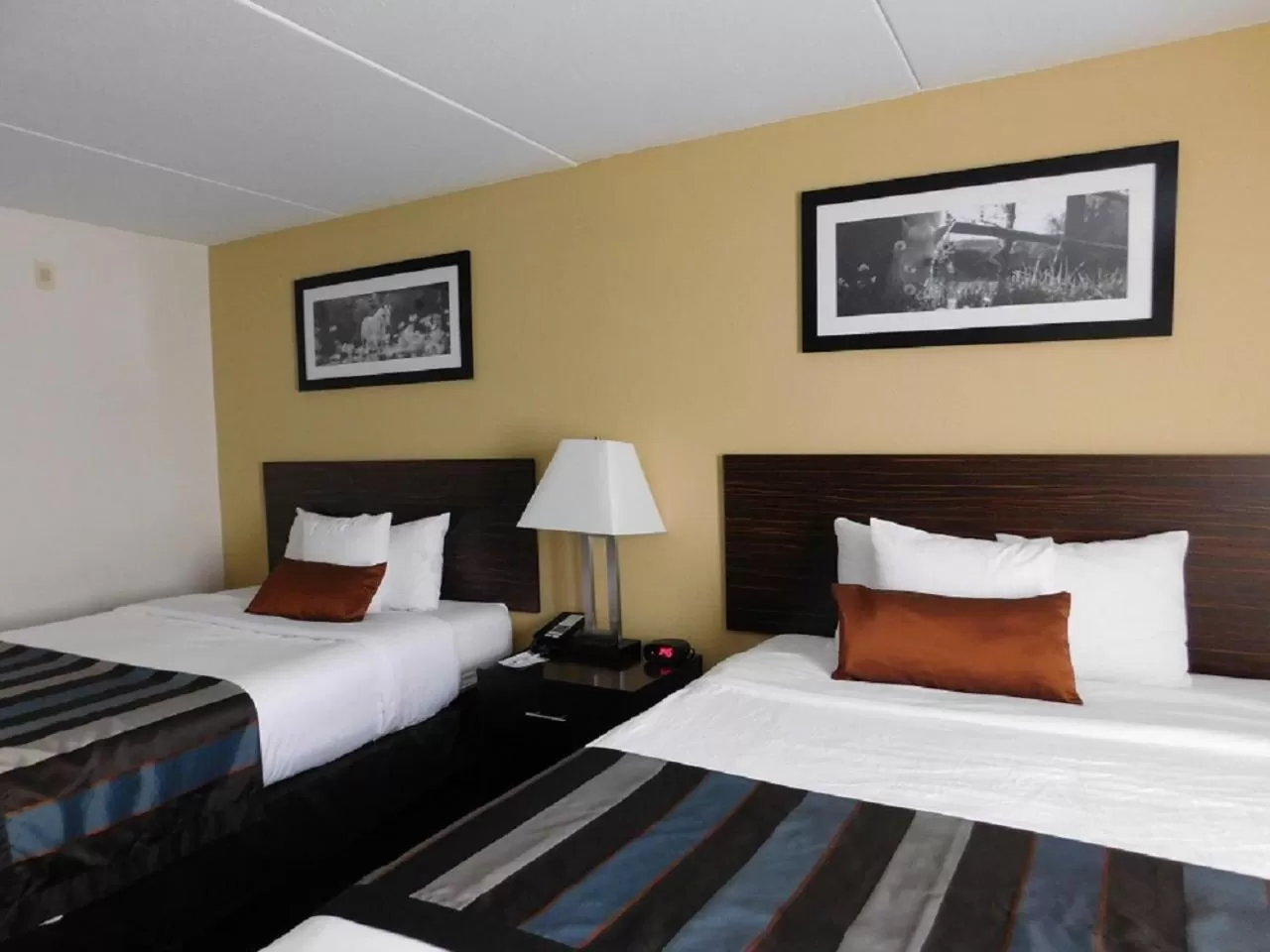 Wingate by Wyndham Bowling Green