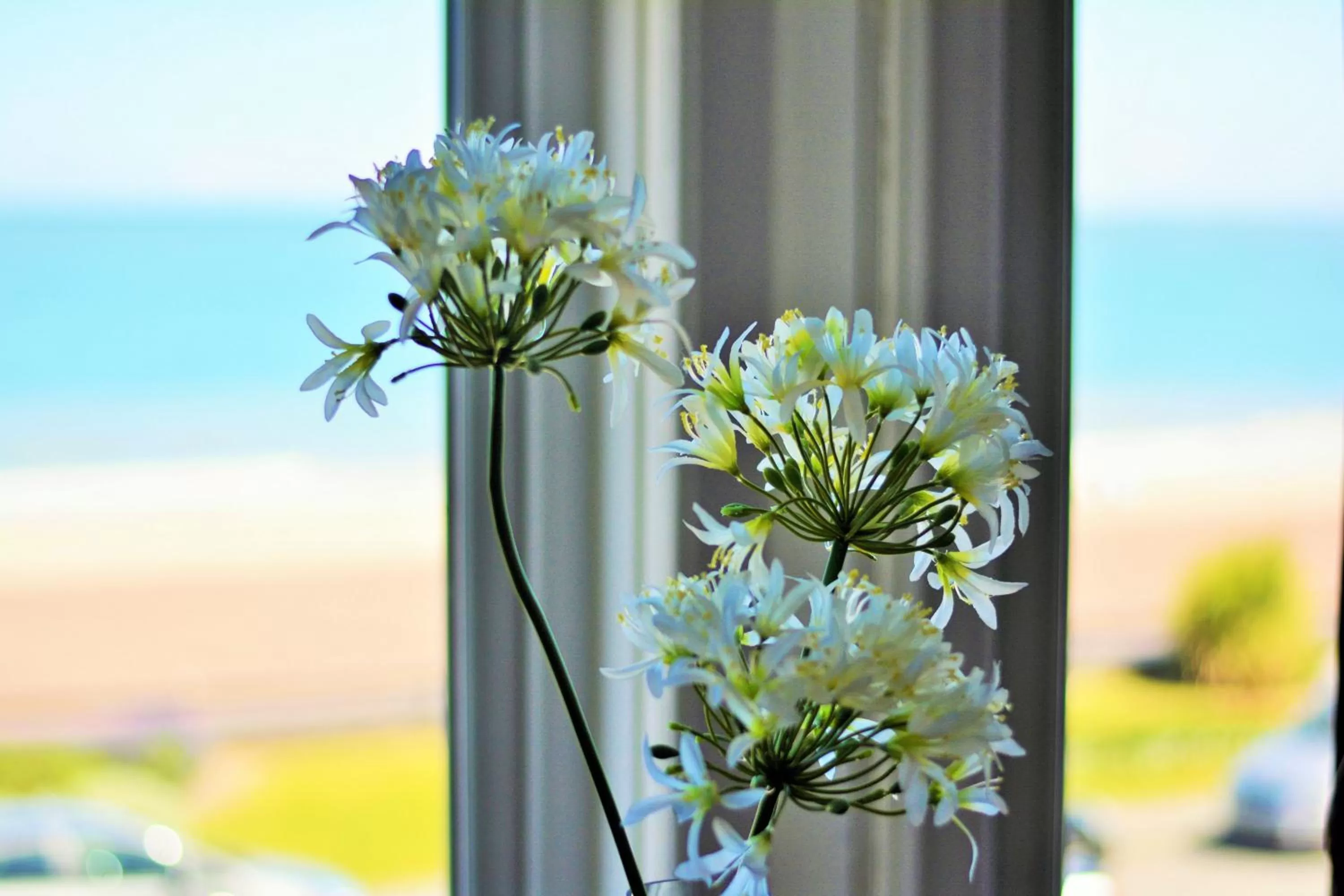 Decorative detail in Four Saints Brig Y Don Hotel