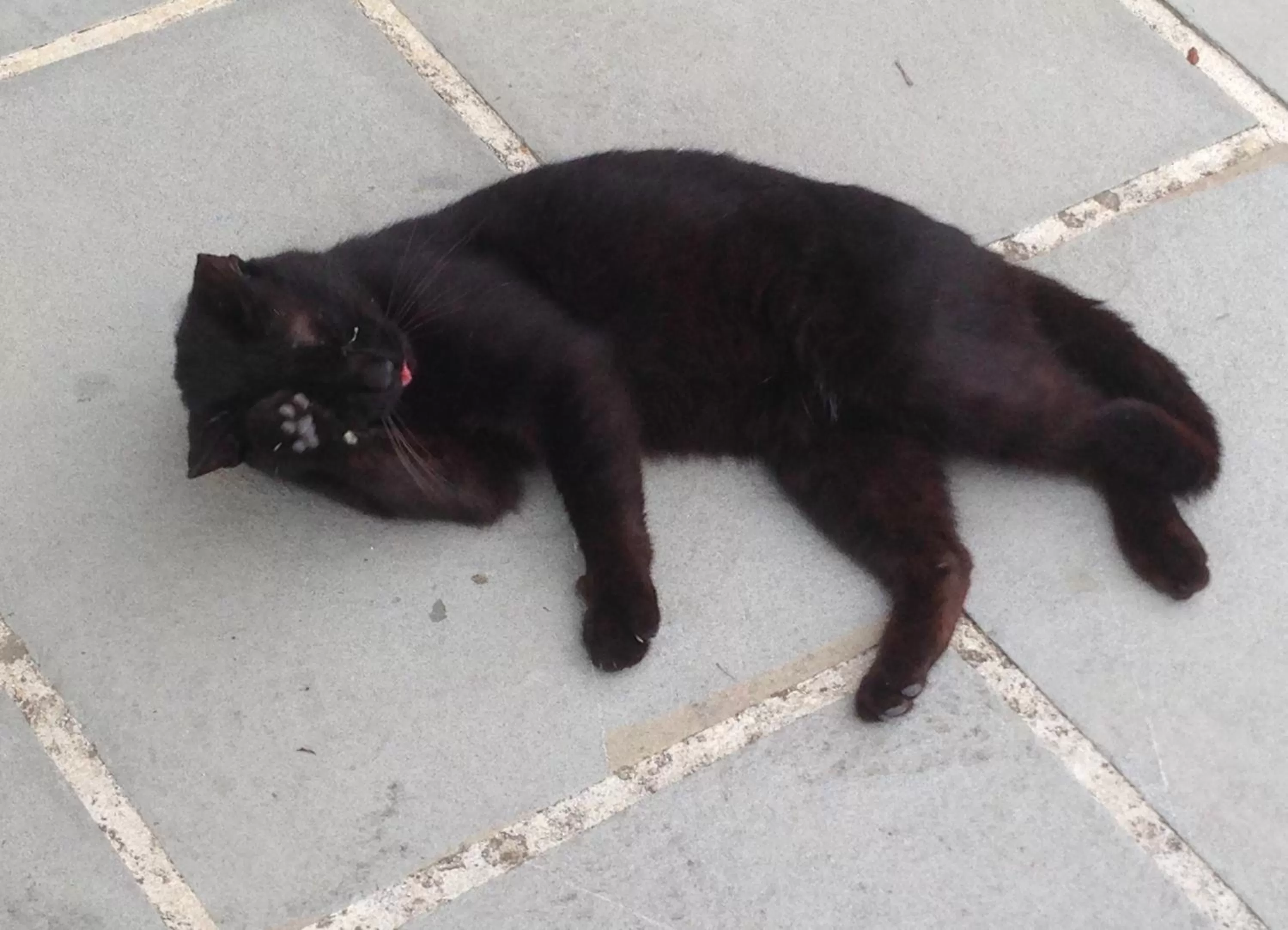 Facade/entrance in Residenza D'epoca Il Biribino
