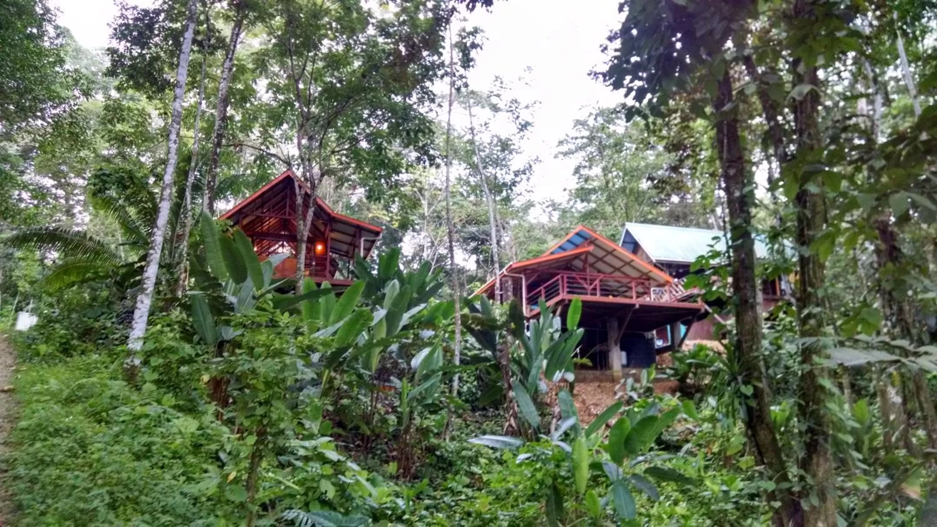 Restaurant/places to eat, Property Building in Surf Break at Paunch