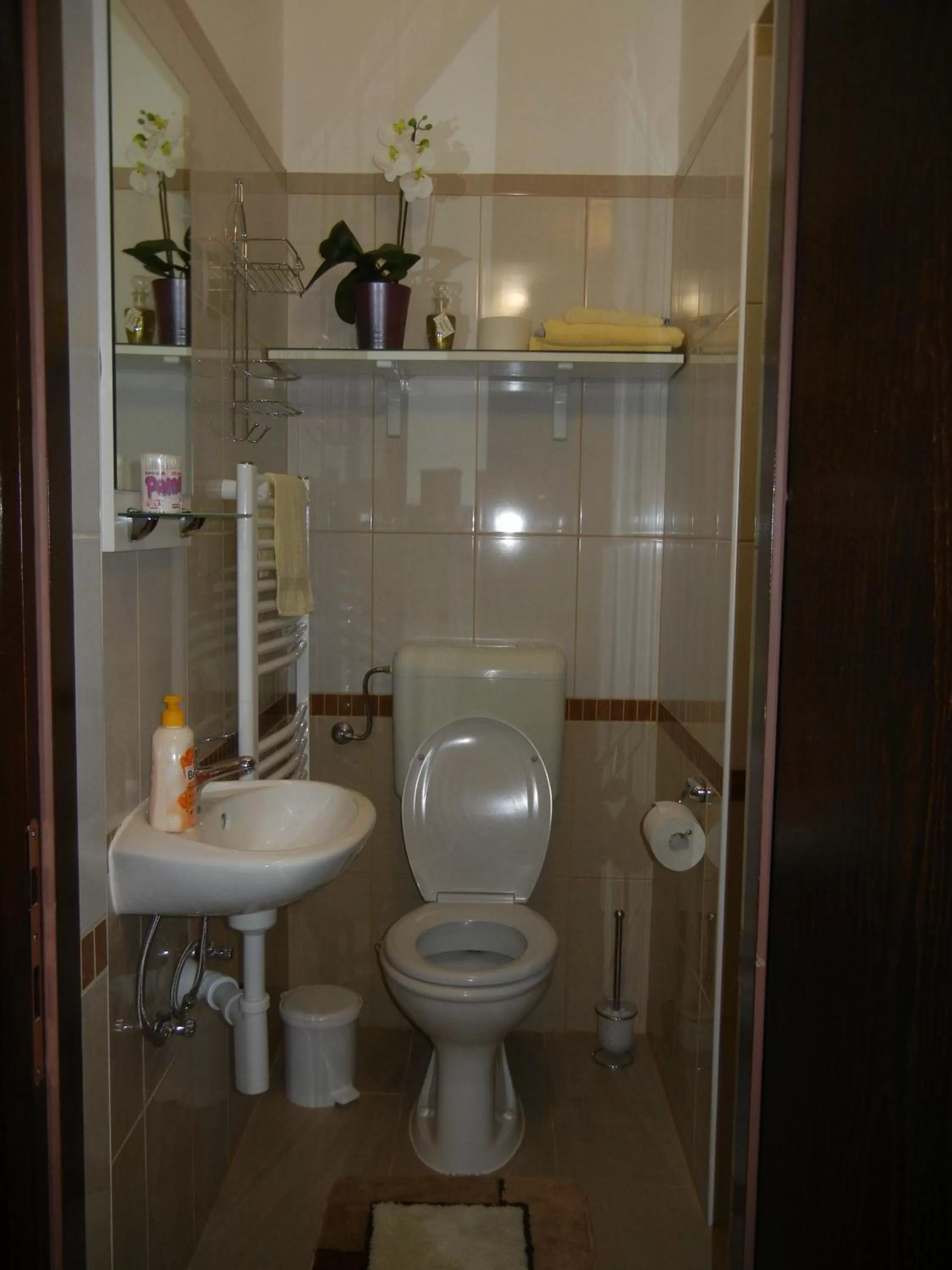 Toilet, Bathroom in Villa Lucia - Apartments&Rooms