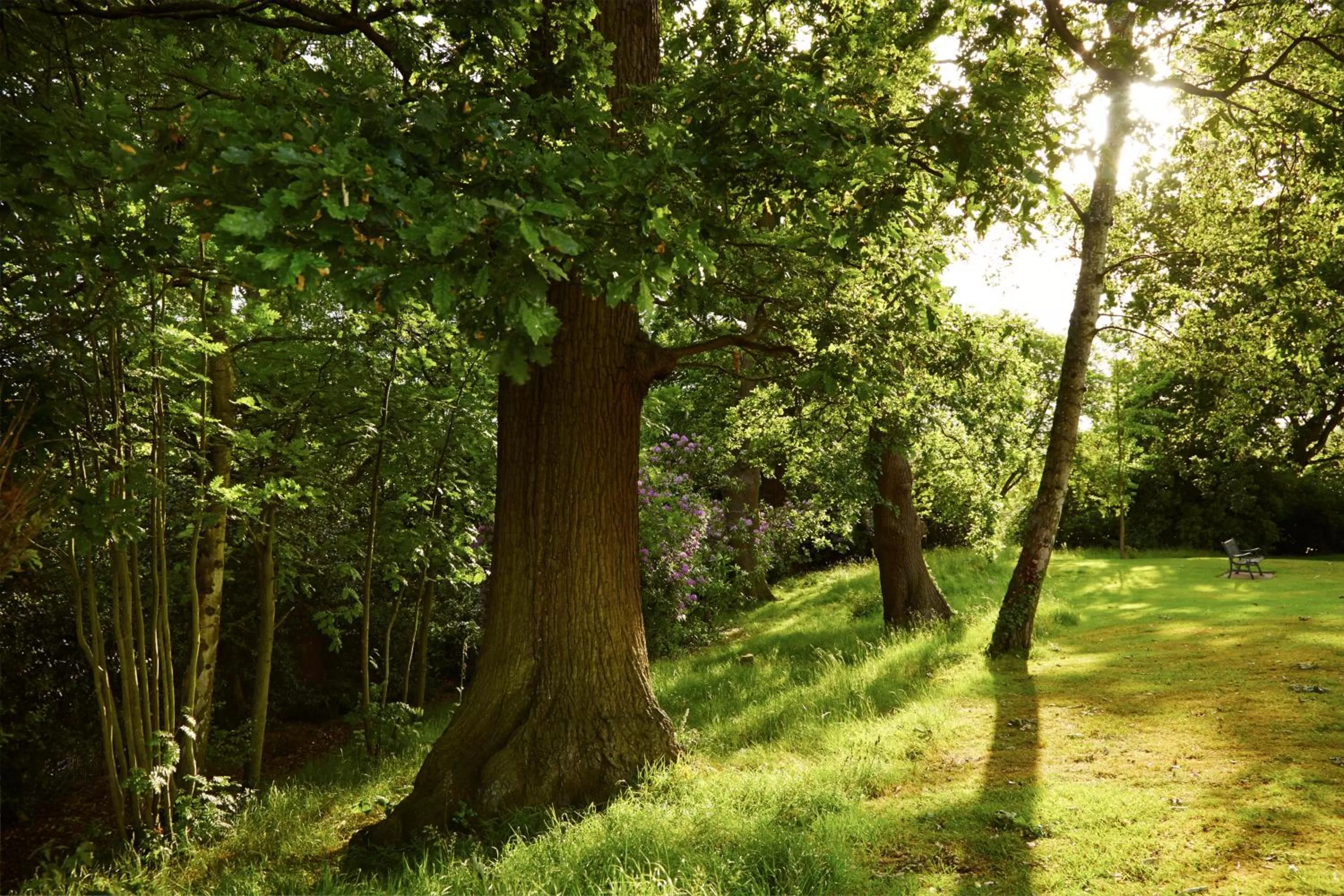 Garden in Bromley Court Hotel London