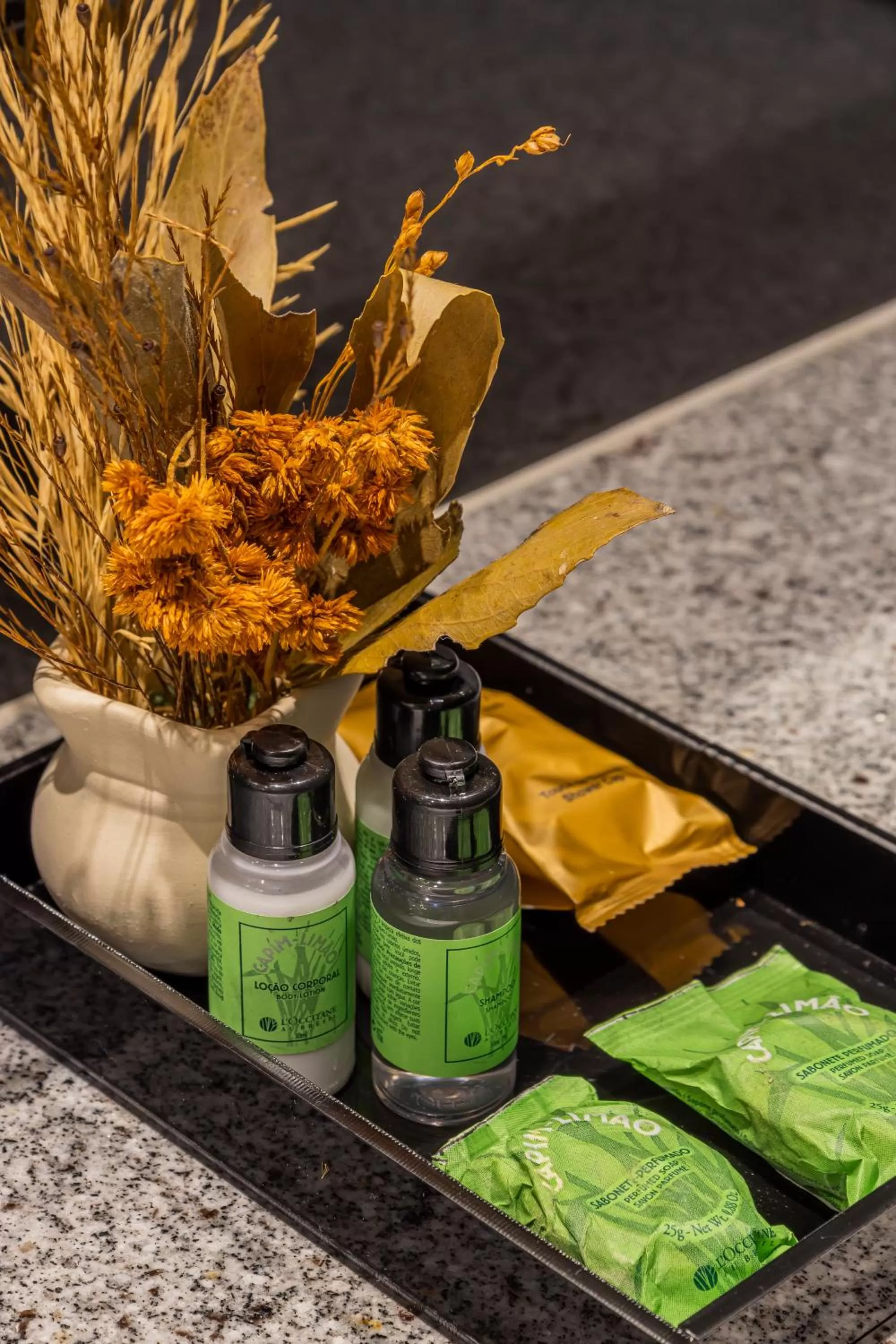 Area and facilities in Gran Mareiro Hotel