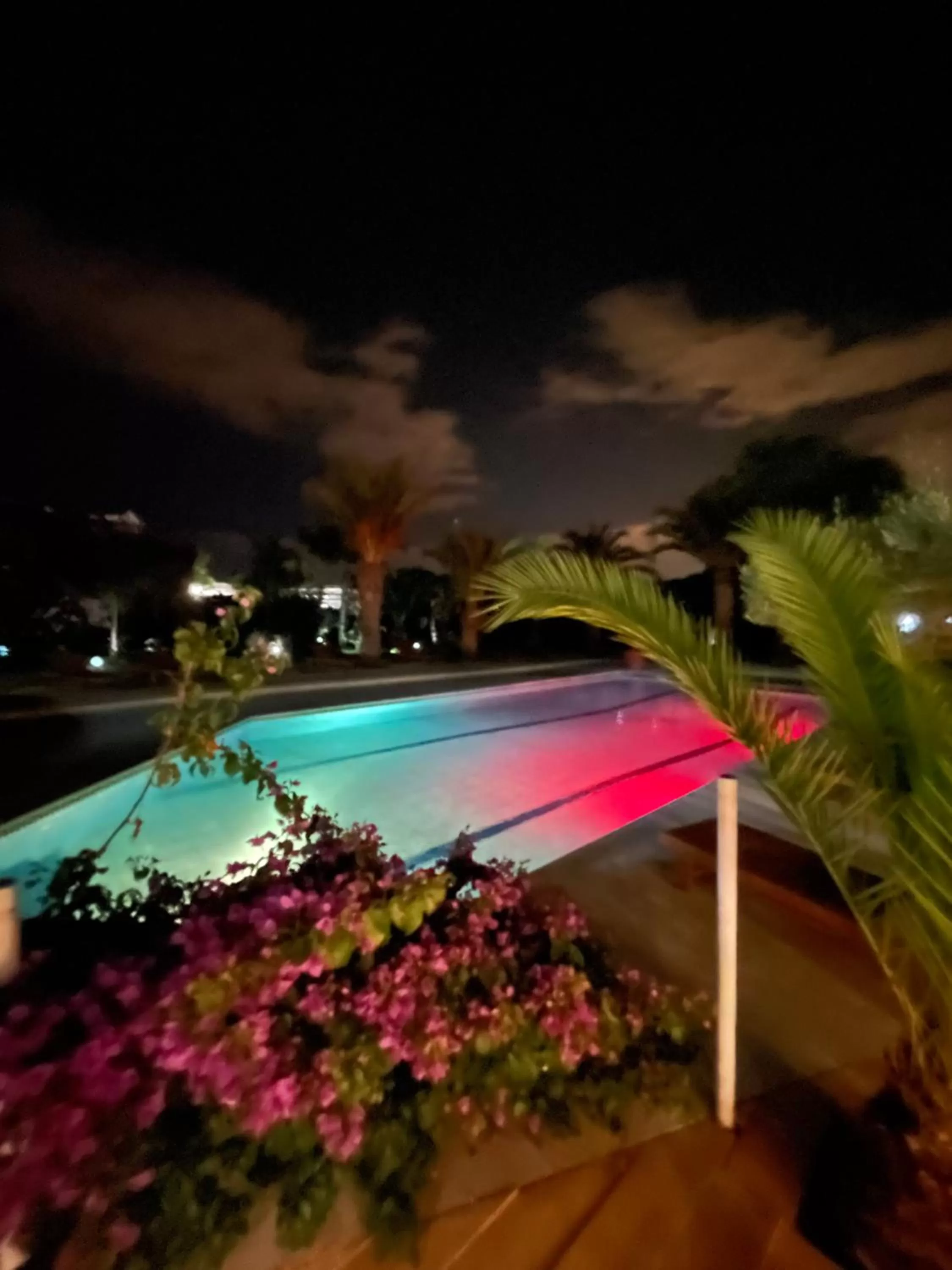 Swimming pool in Tropic Hôtel