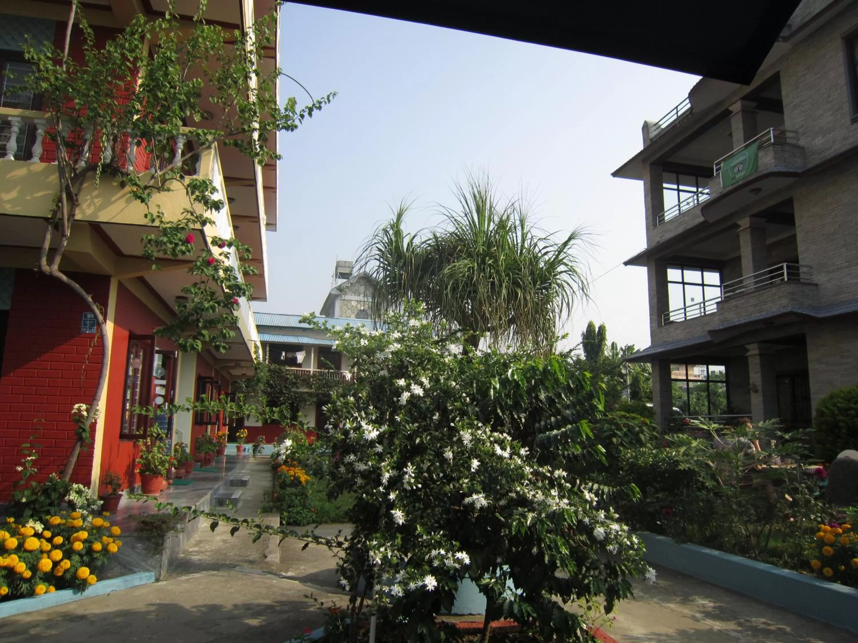 Garden view in New Annapurna Guest House