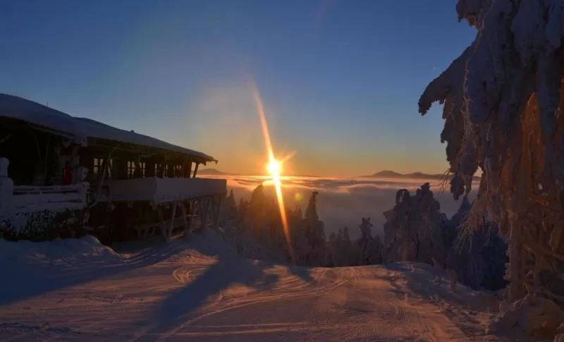 Skiing in Genusshotel Hohenbogen
