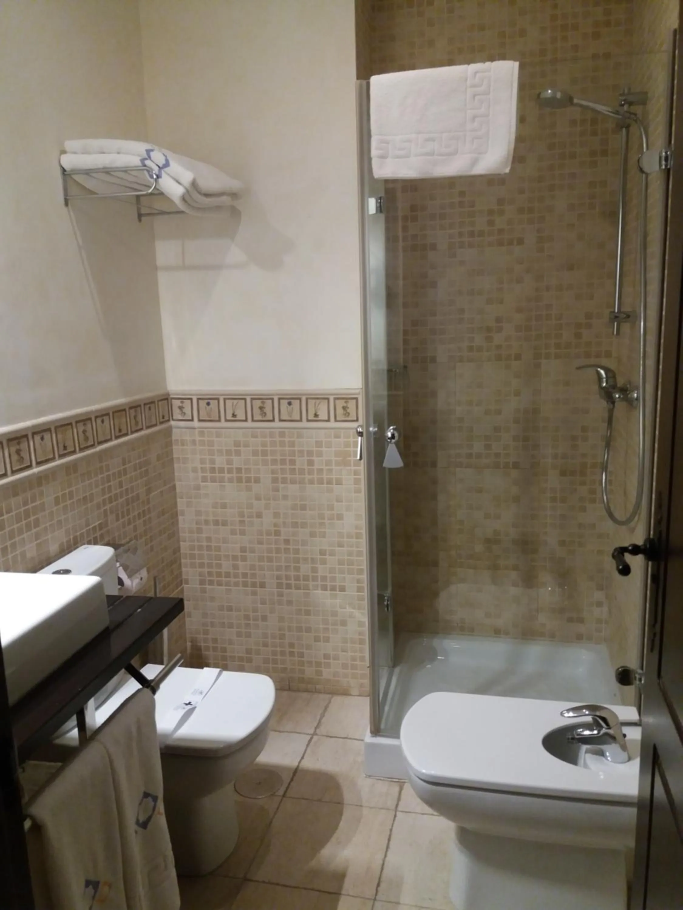 Shower in Apartamentos Ardales