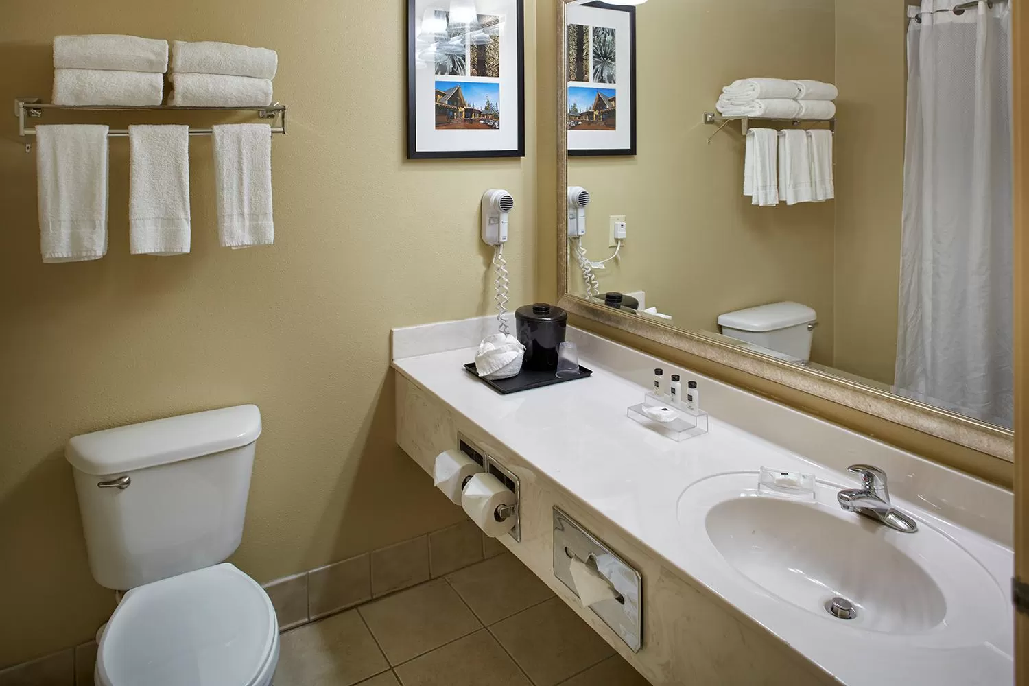 One-Bedroom King Suite - Non-Smoking in Country Inn & Suites by Radisson, Columbia Airport, SC