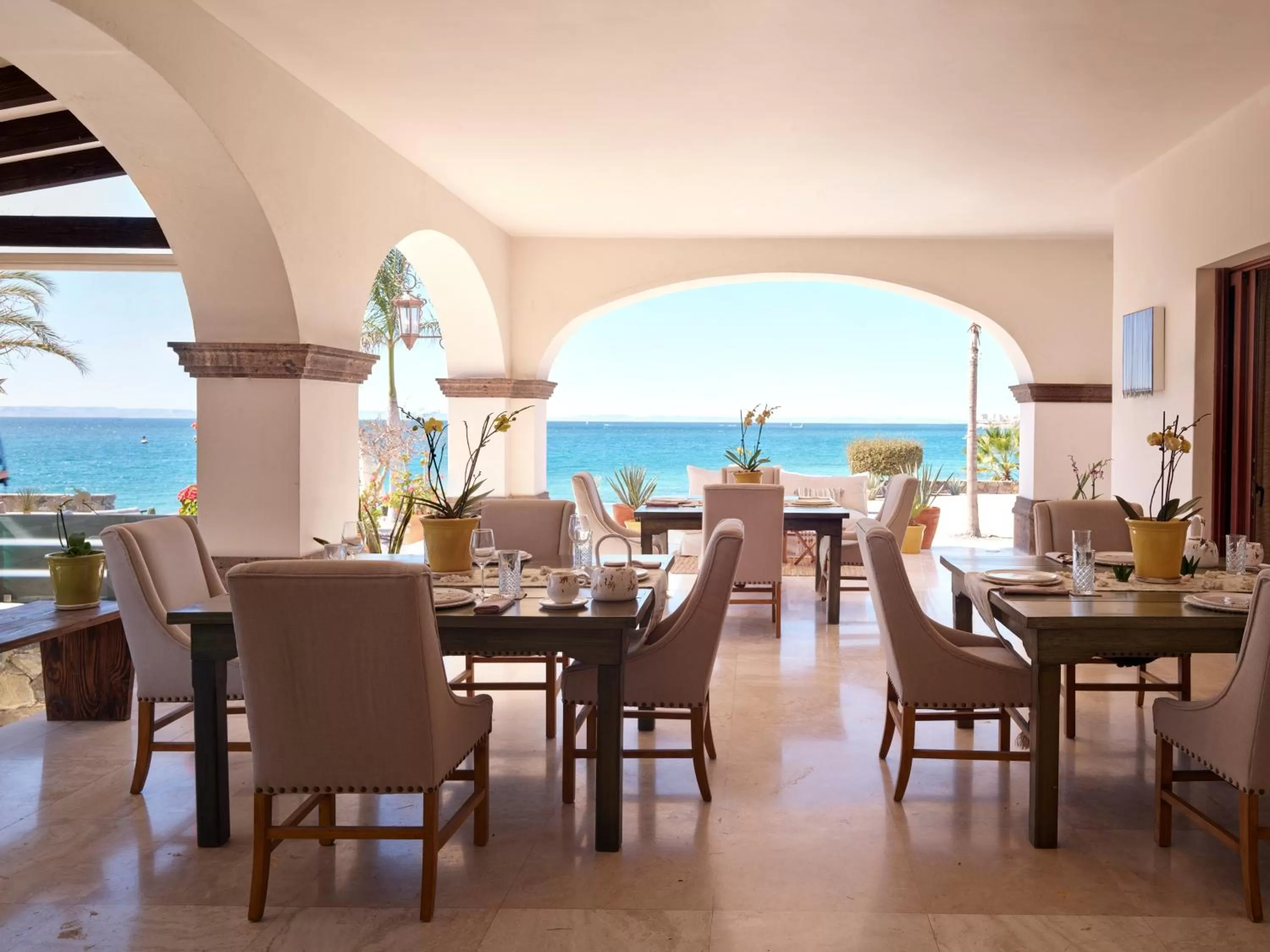 View (from property/room) in Orchid House Baja