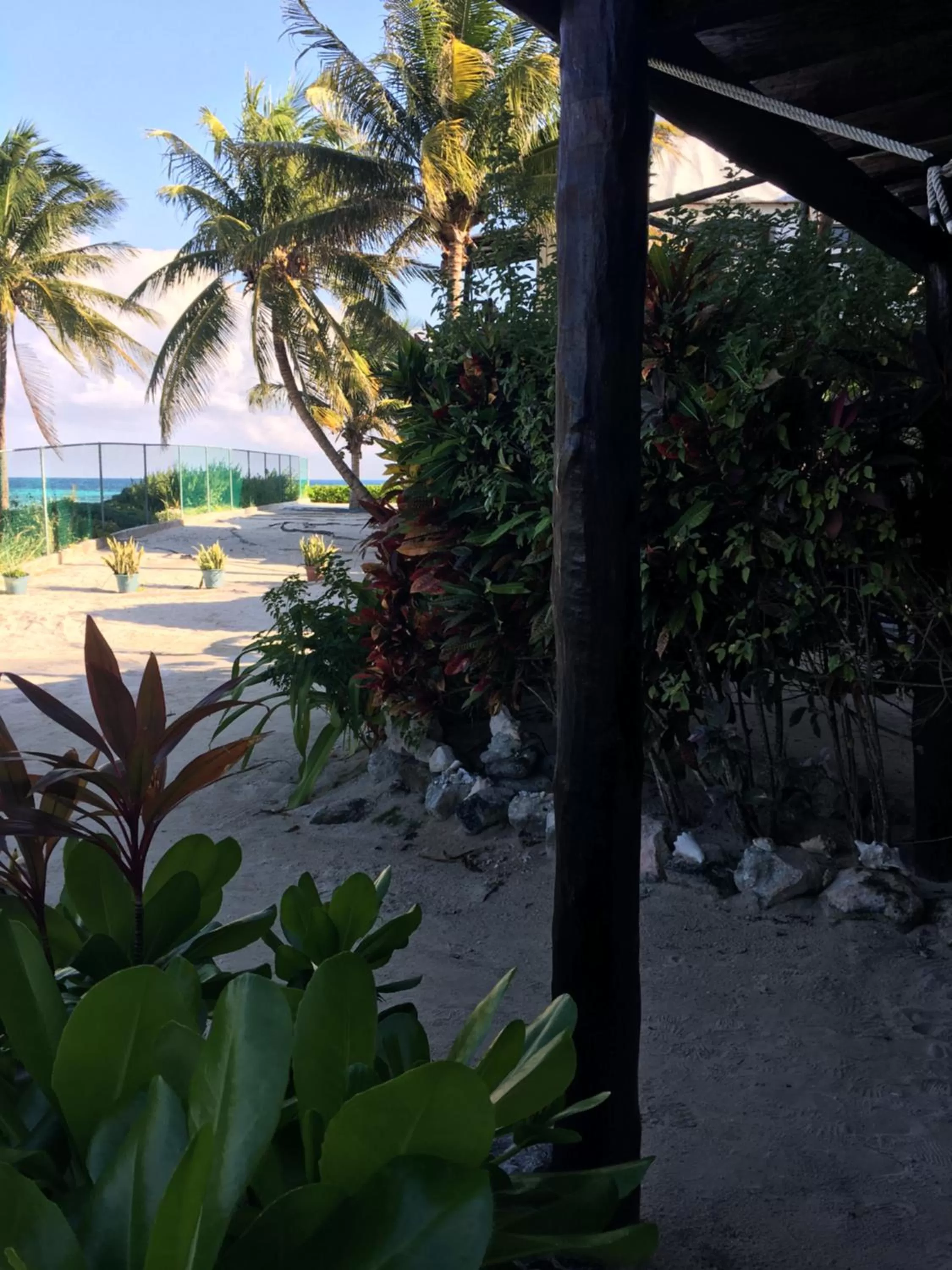 King Room in Rancho Sakol