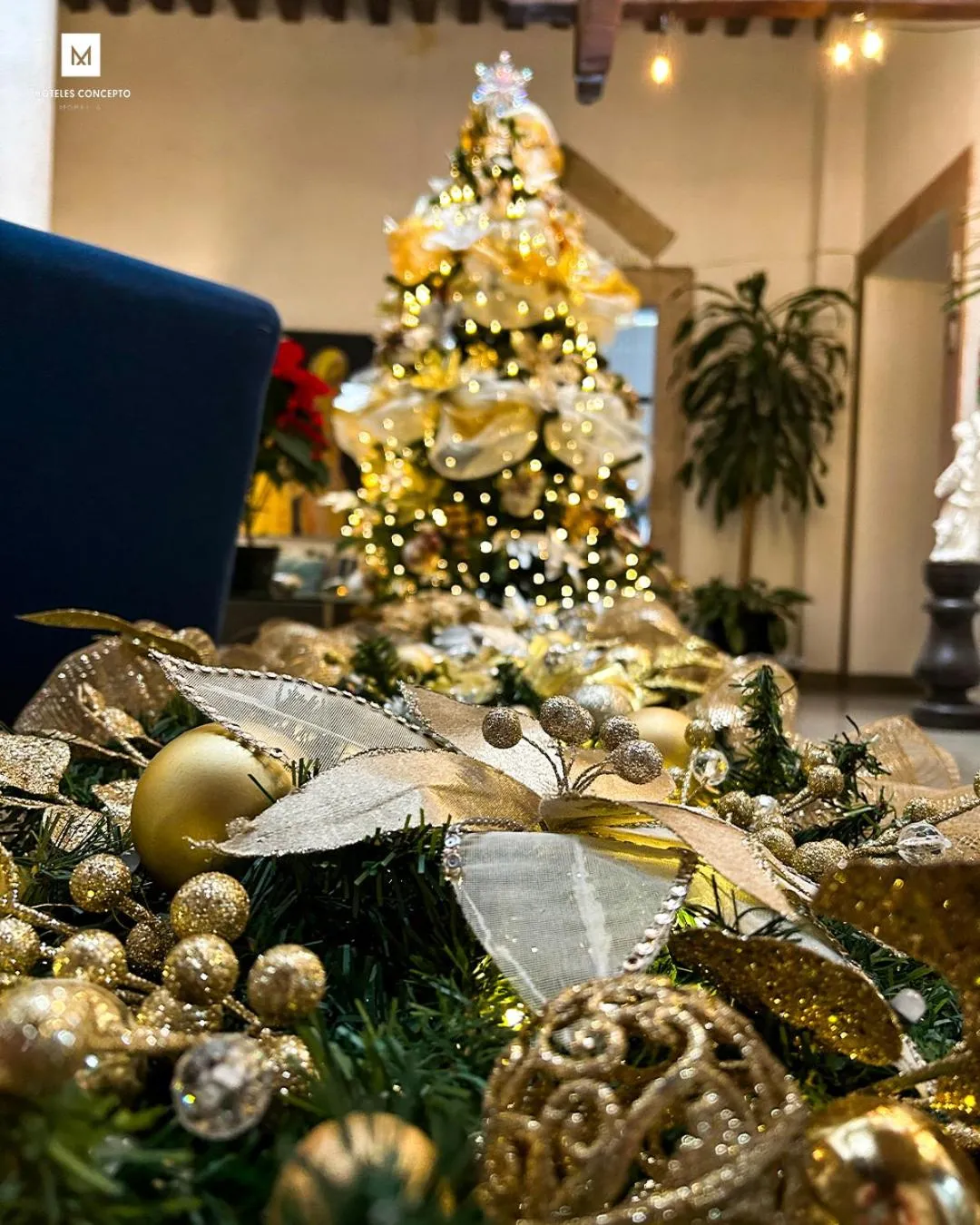 Property building in M Hoteles Concepto