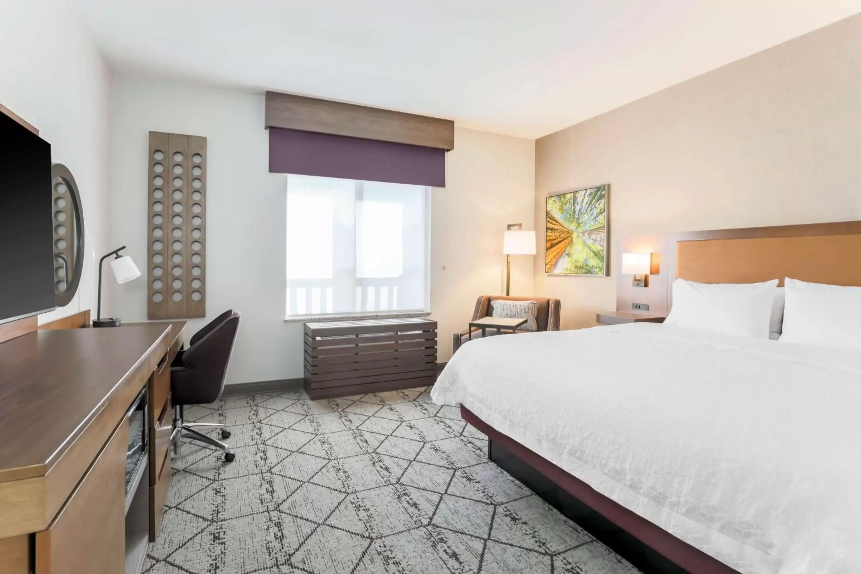 King Room Mobility and Hearing Access/Non-Smoking in Hampton Inn & Suites Windsor-Sonoma Wine Country King Room Mobility and Hearing Access/Non-Smoking in Hampton Inn & Suites Windsor-Sonoma Wine Country