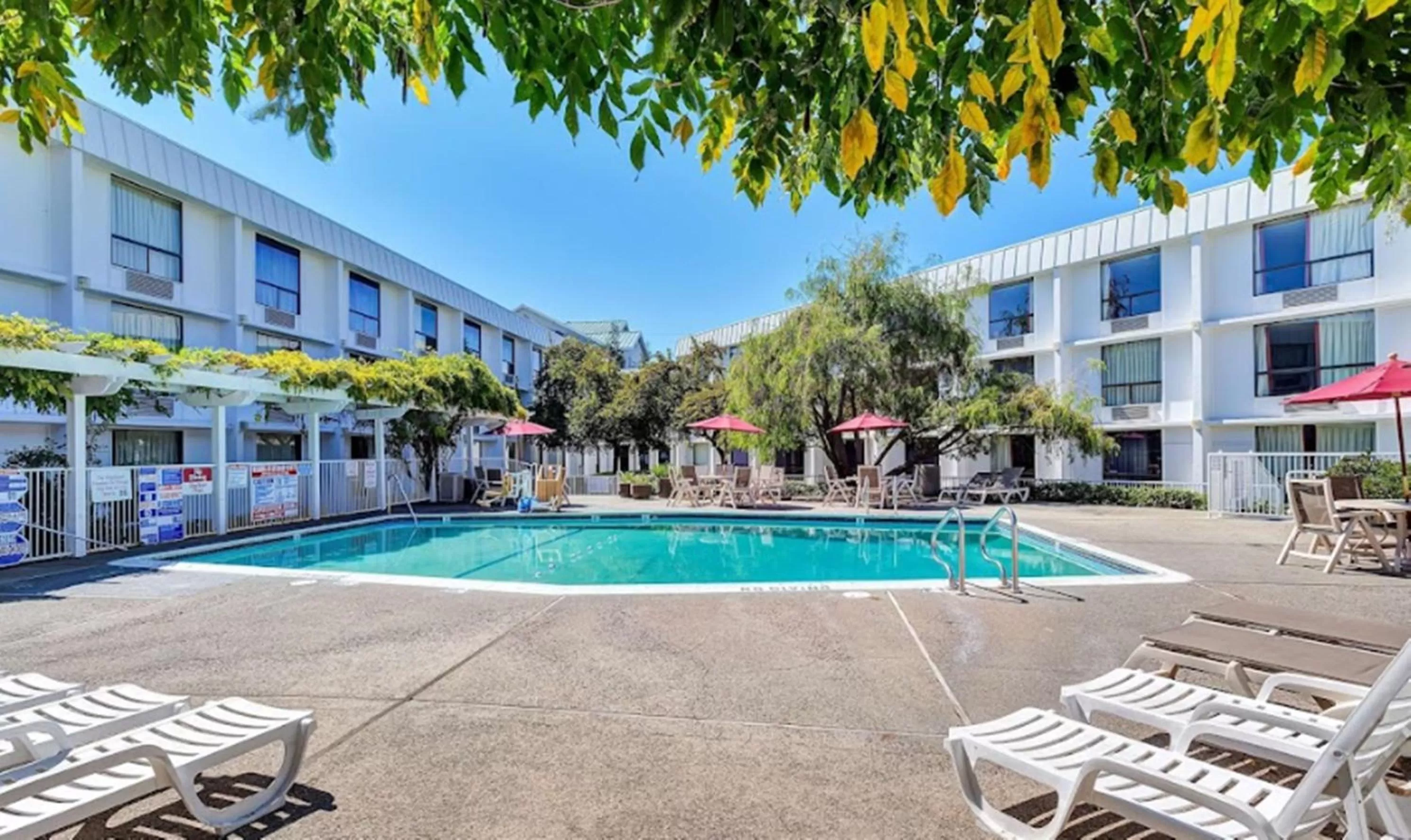 Swimming pool in Motel 6-Belmont, CA - San Francisco - Redwood City