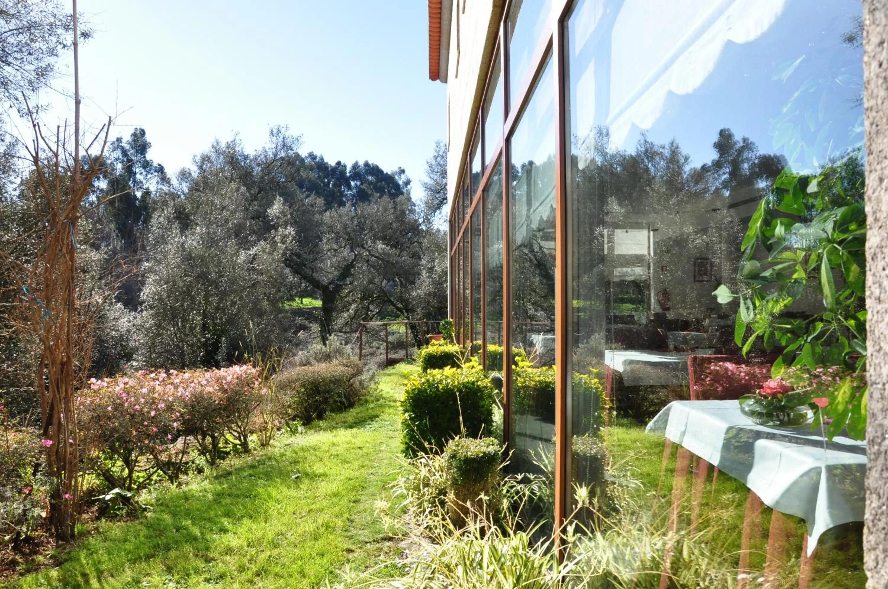 Garden in Hotel Rural de Charme Maria da Fonte