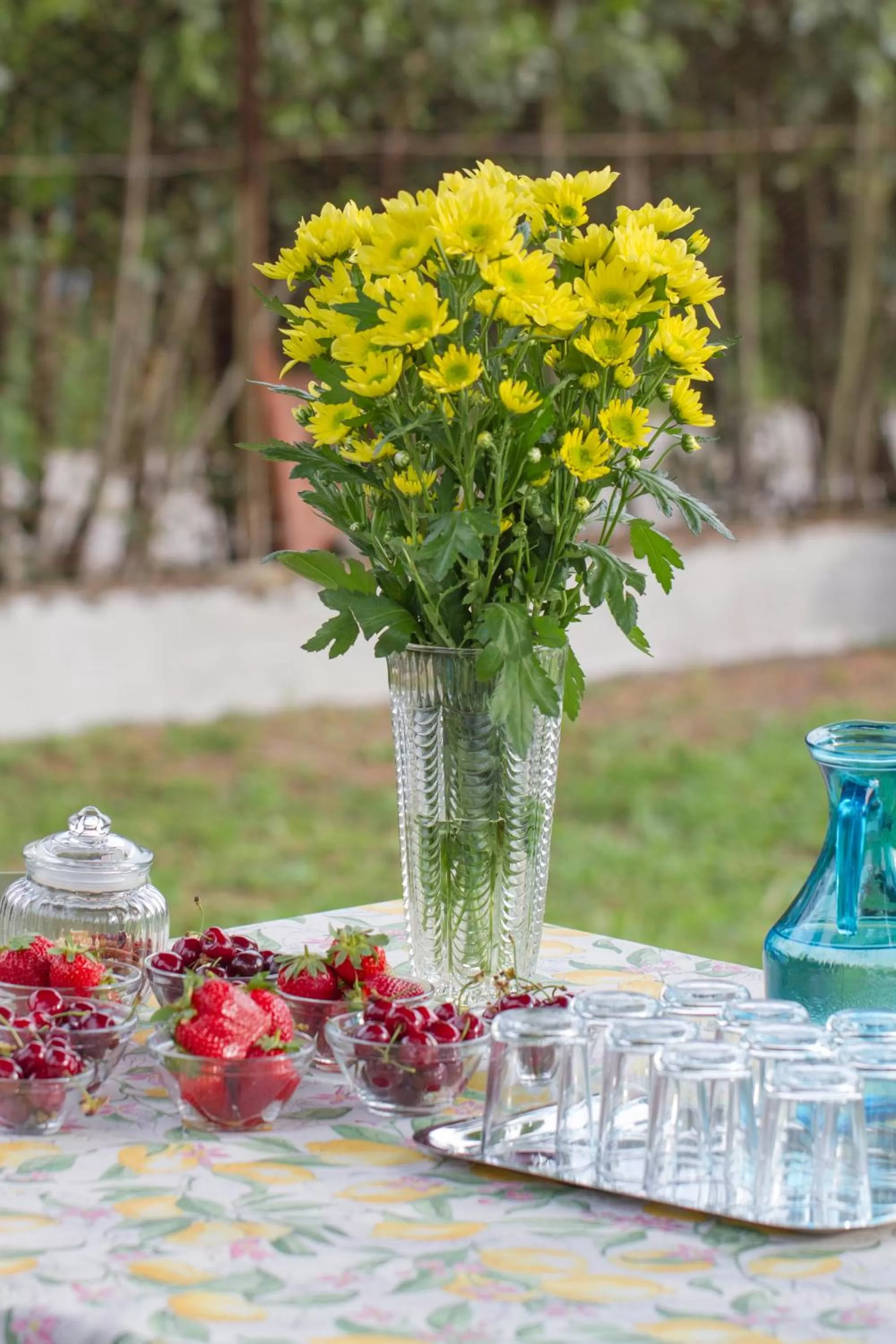 Garden in B&B PALAZZI