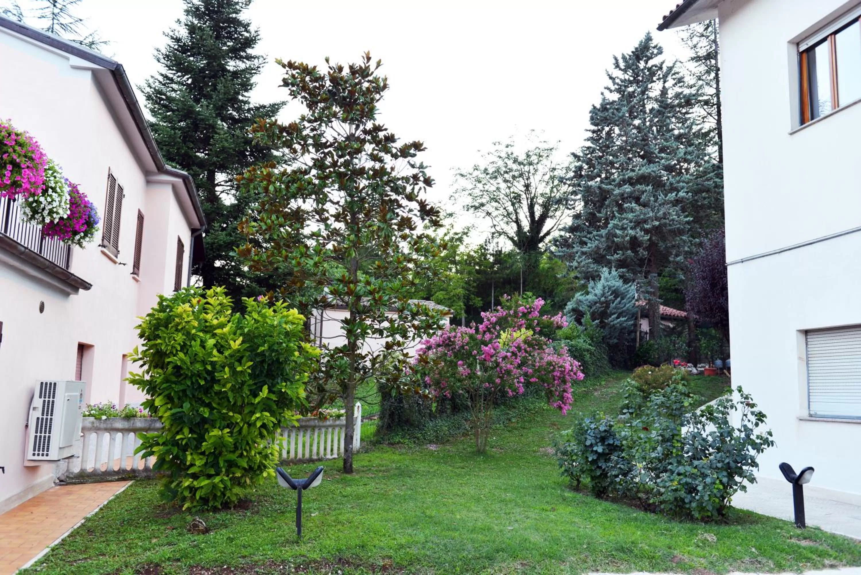 Garden view in B&B Vetralla
