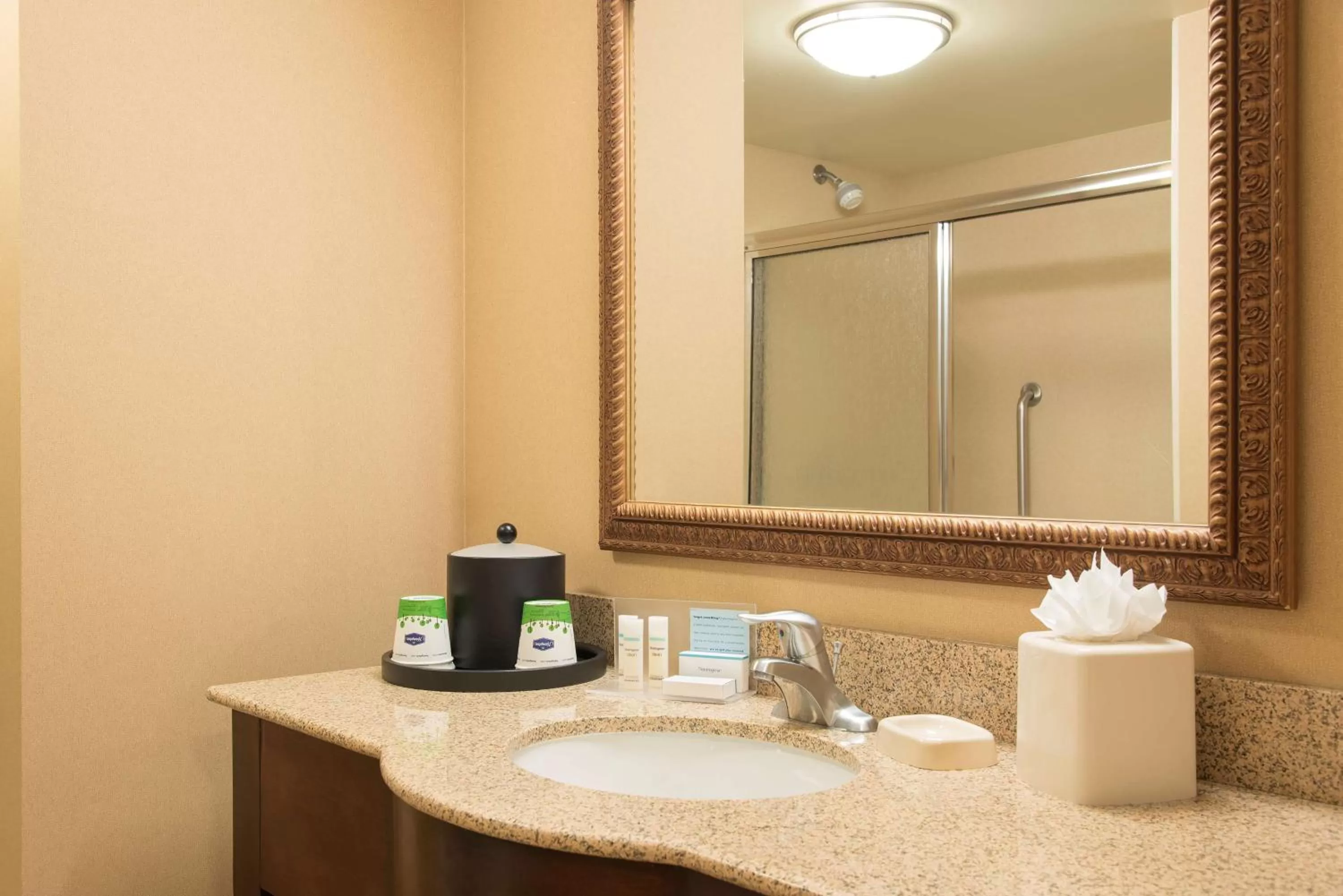 Bathroom in Hampton Inn & Suites Bloomington-Normal