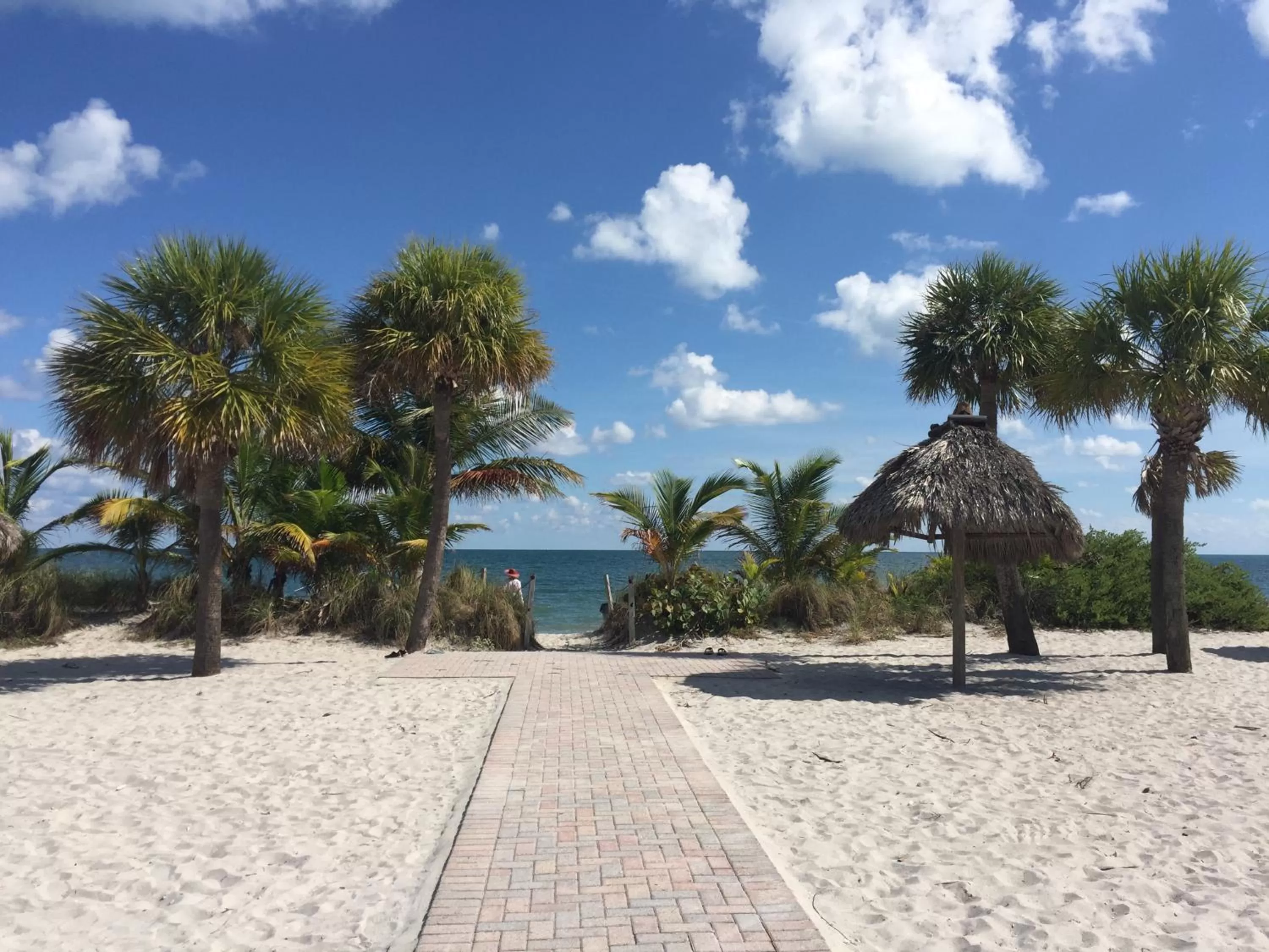 Off site in Beach Haus Key Biscayne Contemporary Apartments