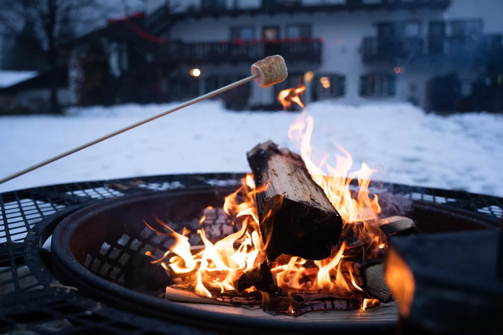 flat iron in Blue Elk Inn