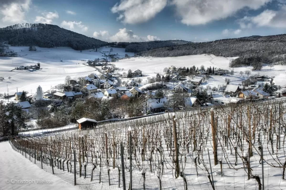 Natural landscape, Winter in BnB Mönthal im Jurapark