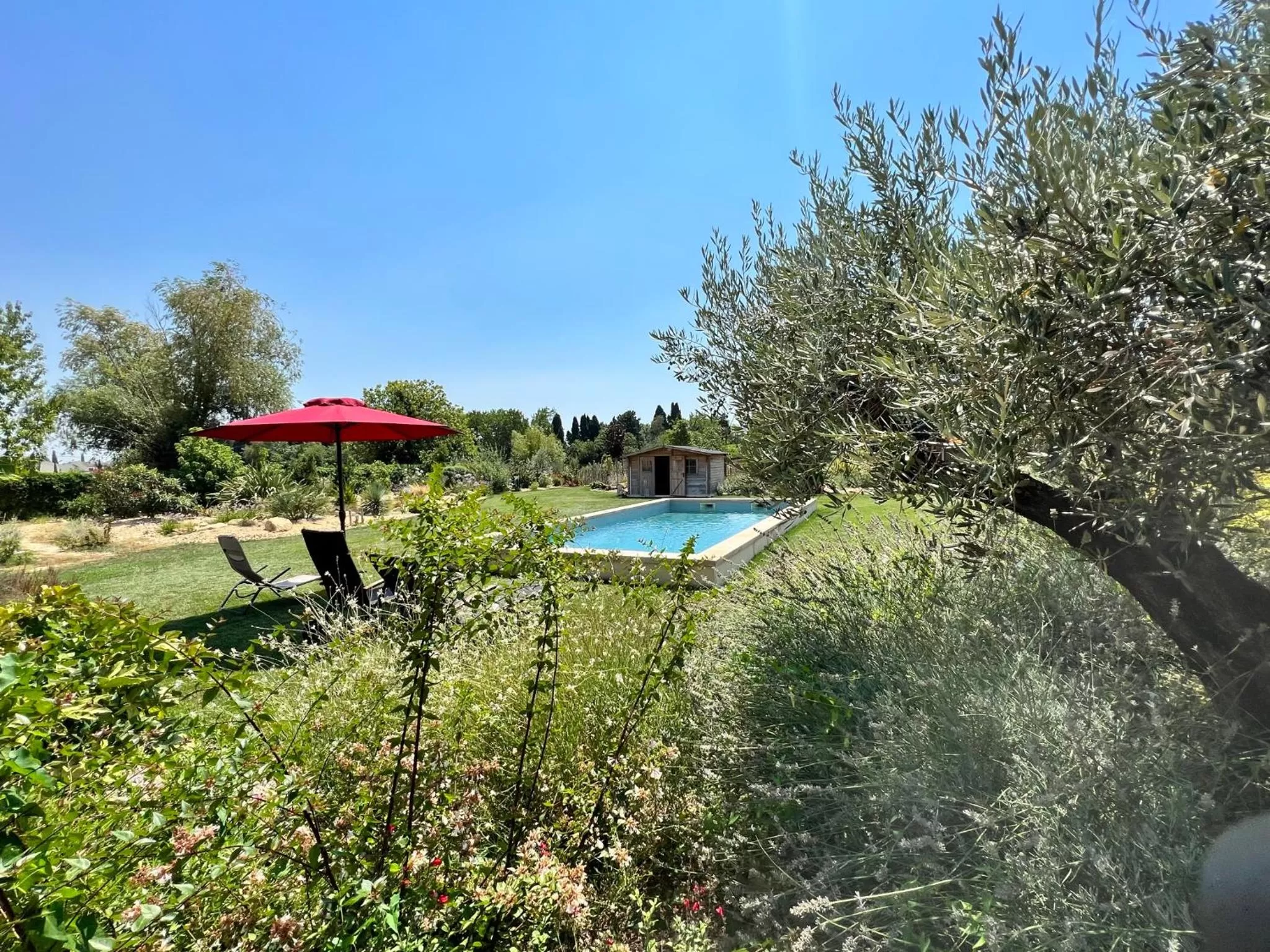 Garden, Swimming Pool in BASTIDE DES MARTELIERES