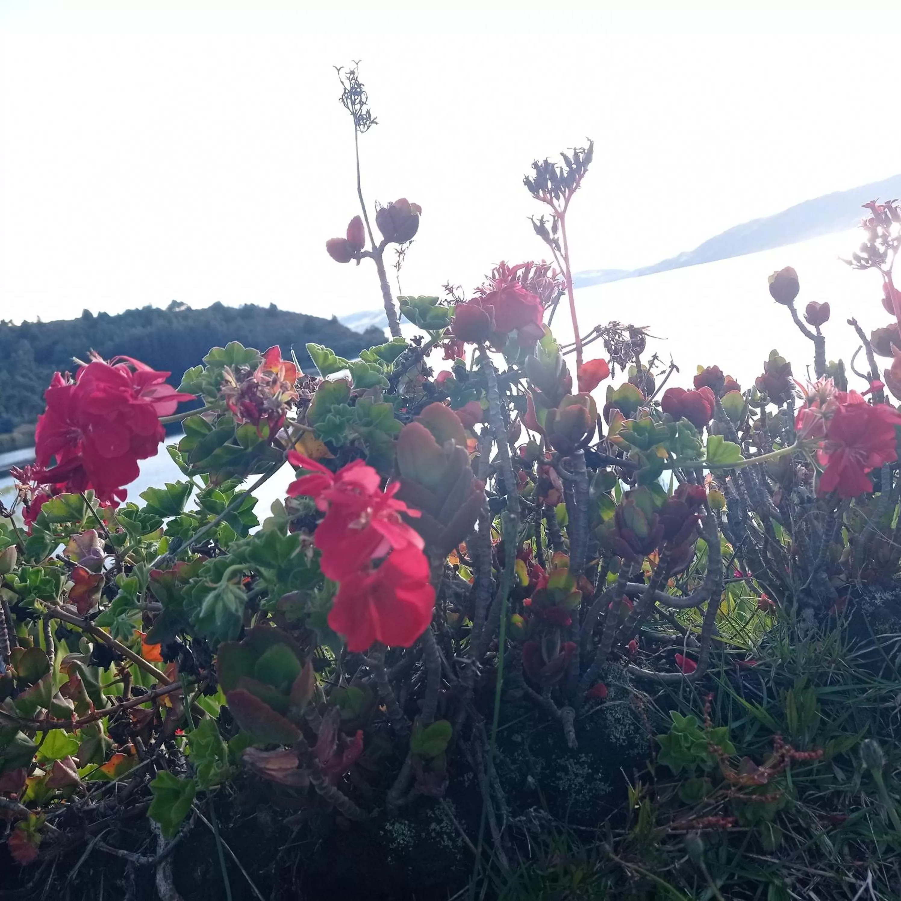 Hotel Refugio Pozo Azul