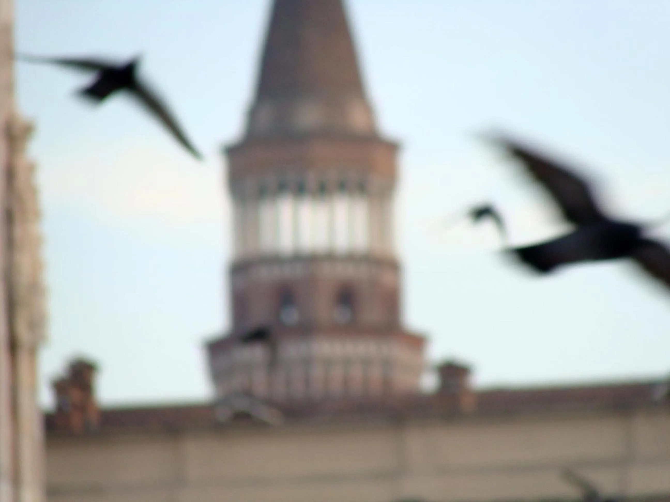 Area and facilities in Hotel Paradiso