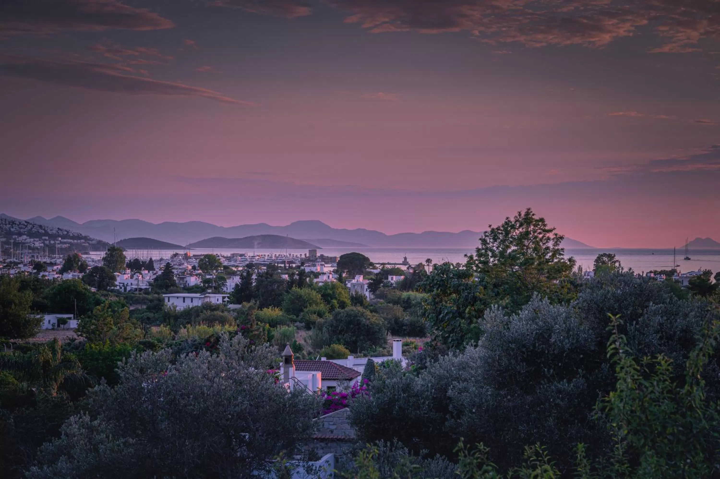 Natural landscape in 4reasons hotel + bistro | 12+