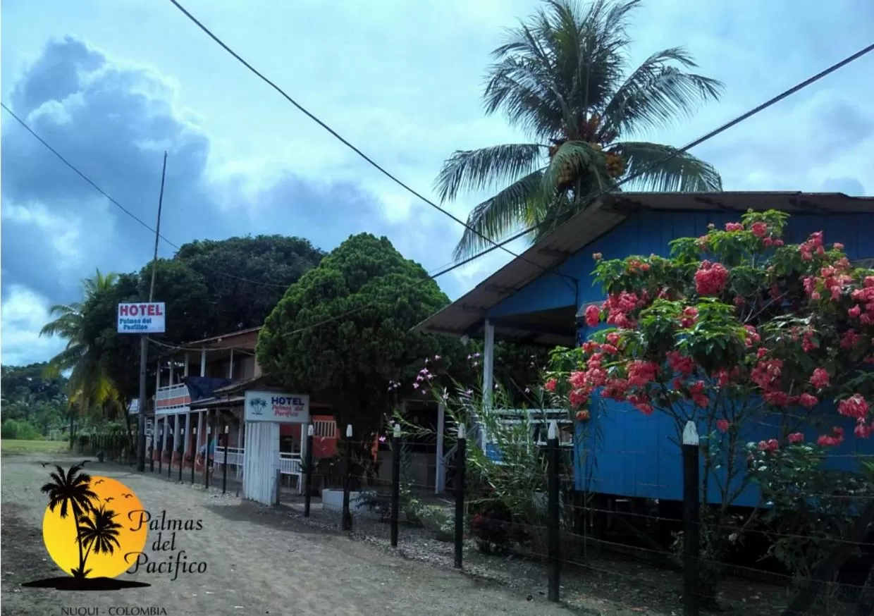Hotel Palmas del Pacifico