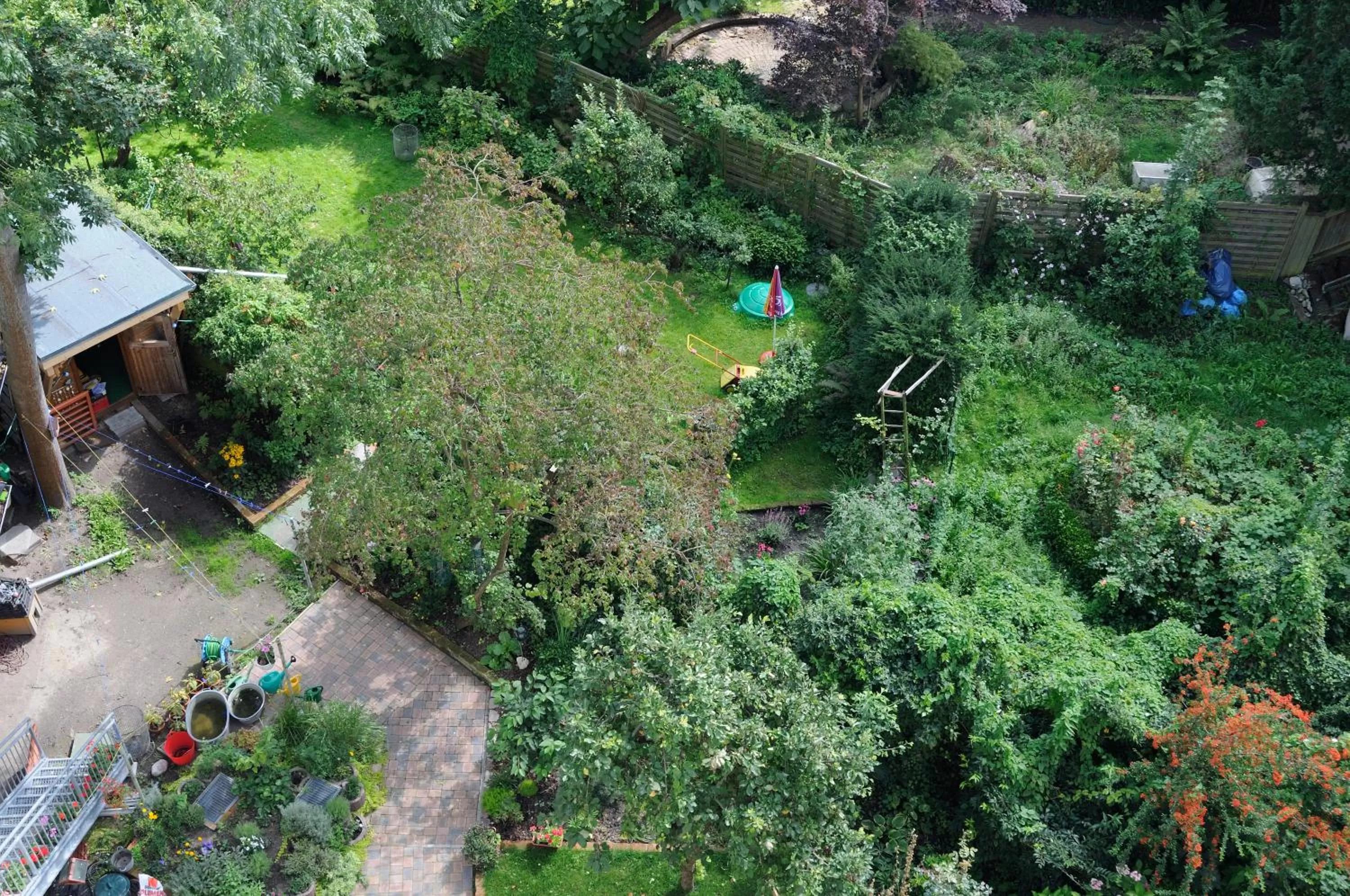 Area and facilities in Hotel zur alten Stadtmauer