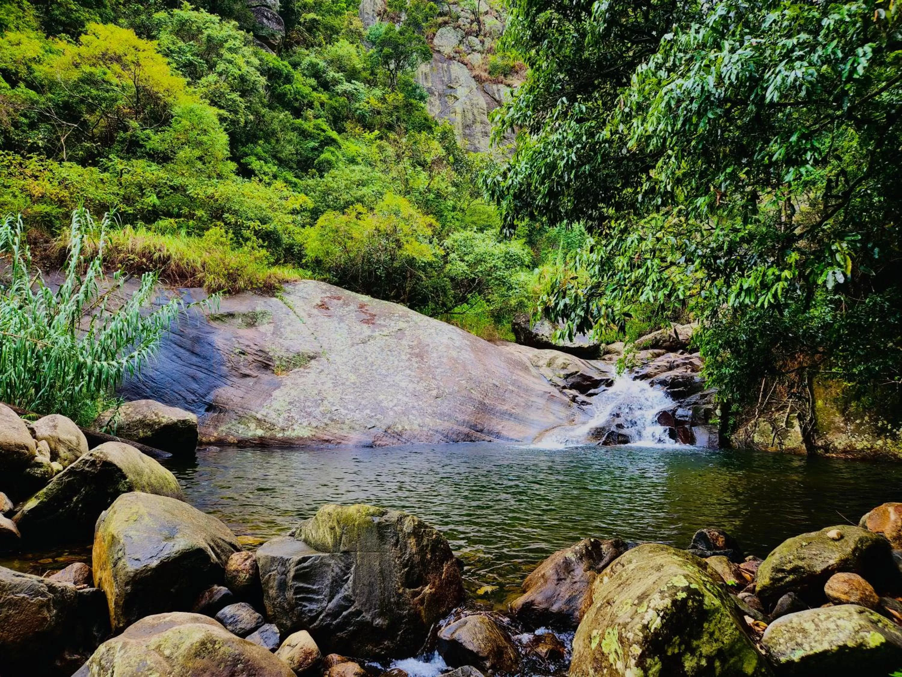 Natural landscape in The Capoe House