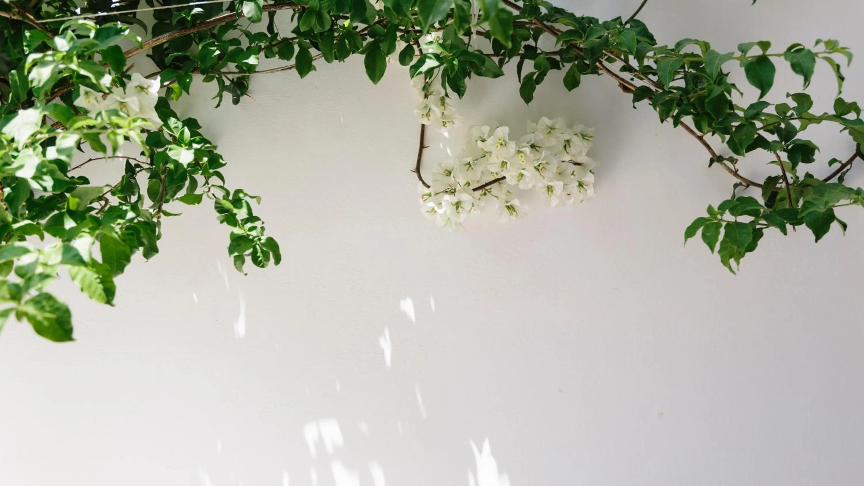 Decorative detail in Dimitra Boutique Hotel