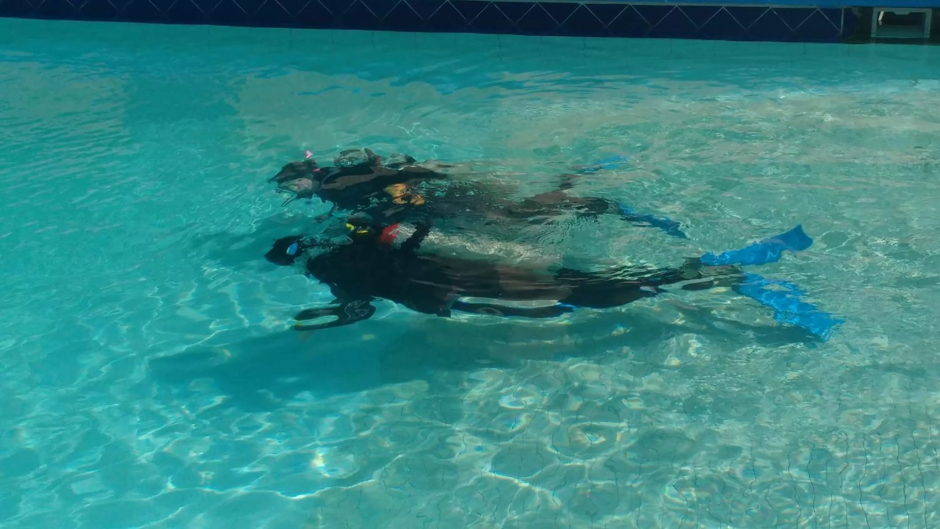 Diving in Club Cantamar Beach Hotel & Marina