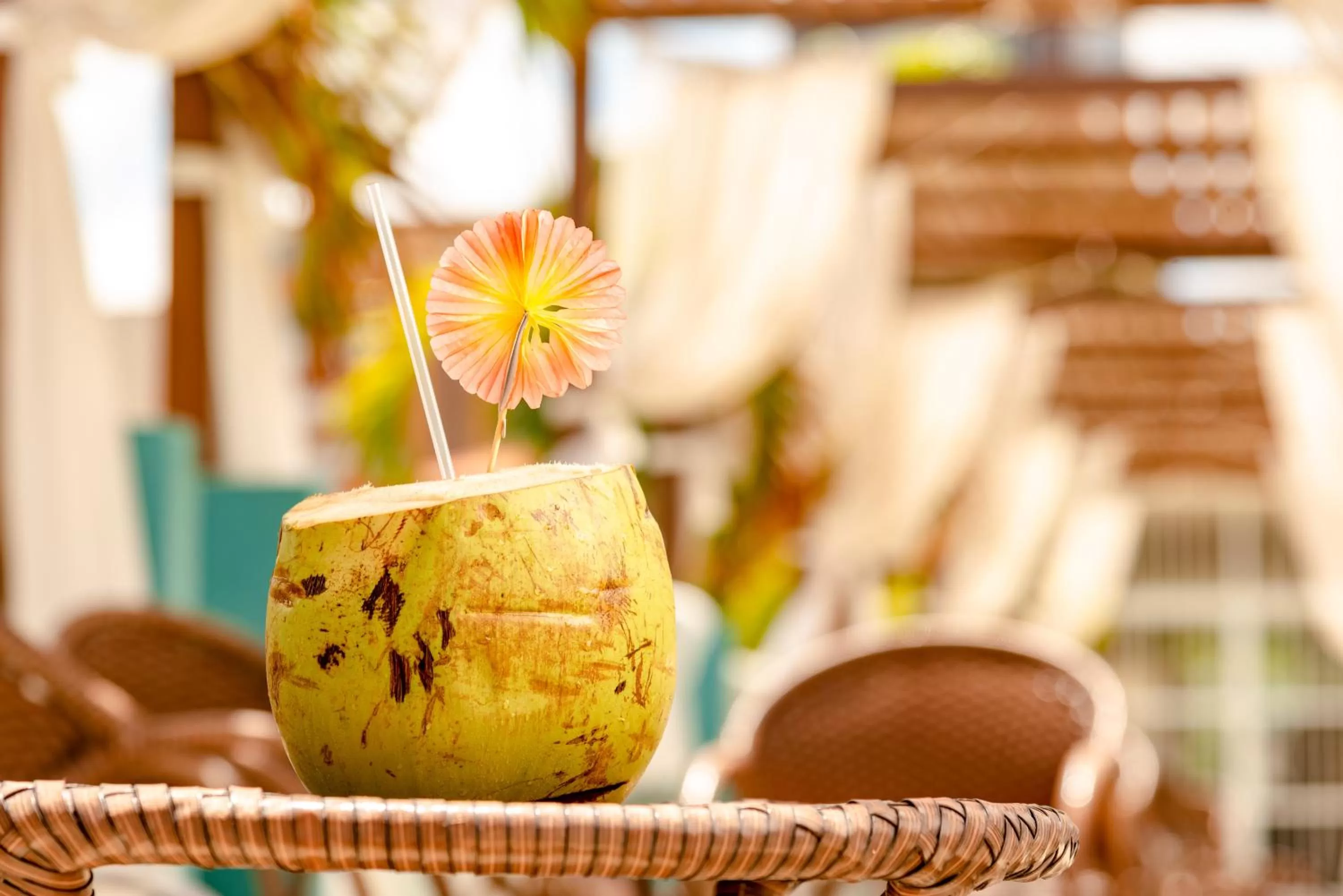 Food and drinks in Oasis Imperial & Fortaleza