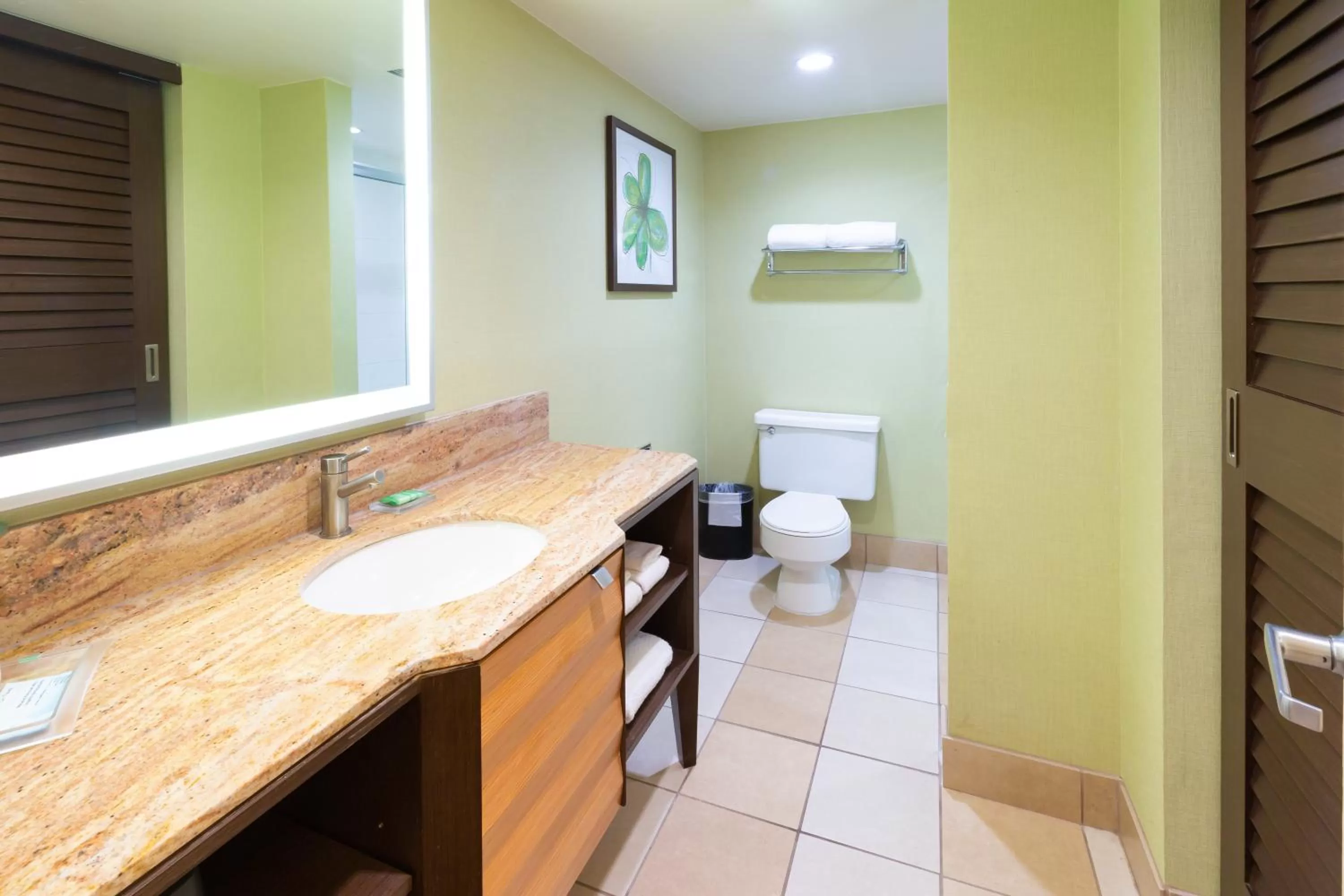Bathroom in Holiday Inn San Jose-Silicon Valley by IHG