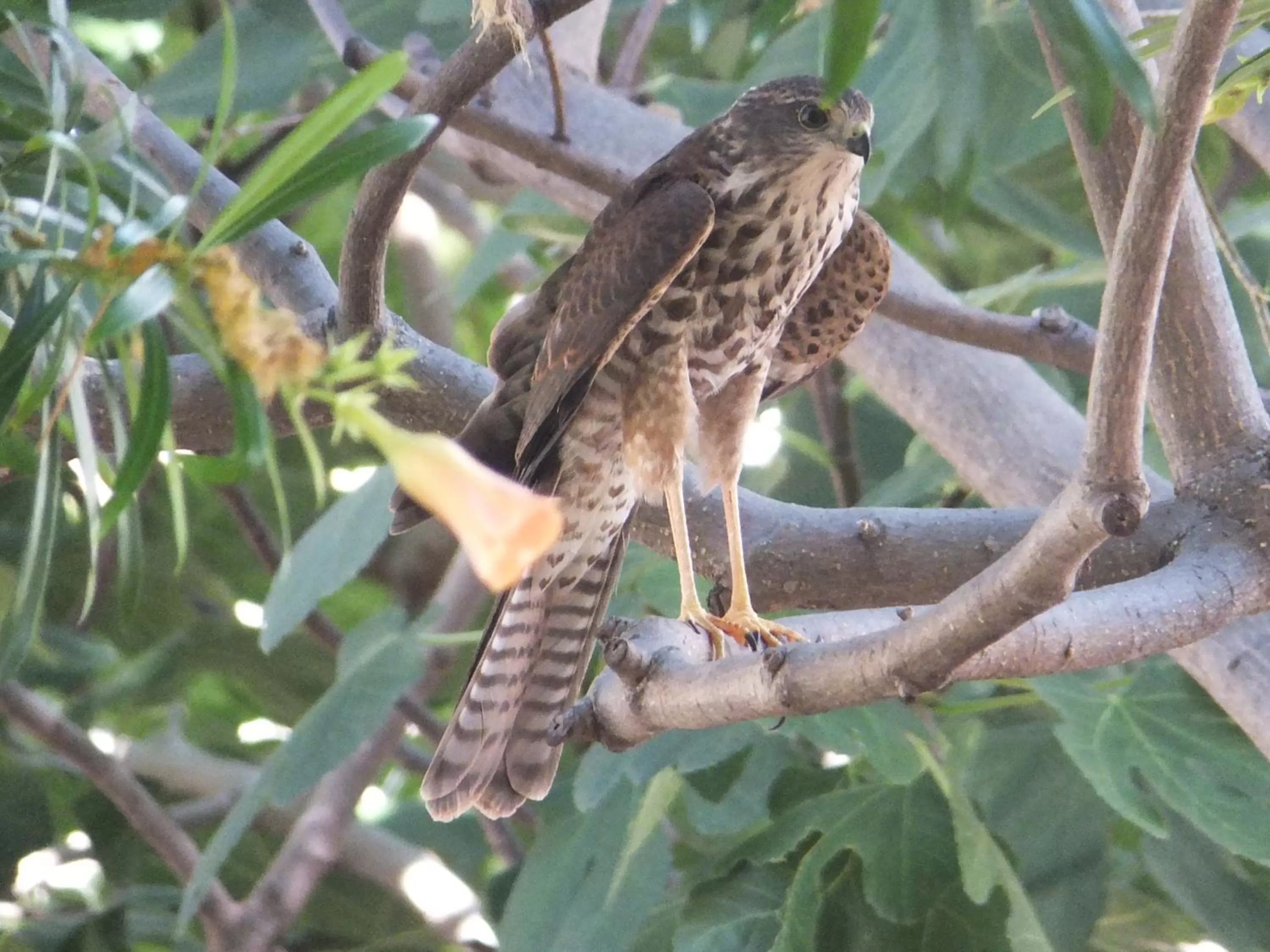 Kathys Place Bed and Breakfast