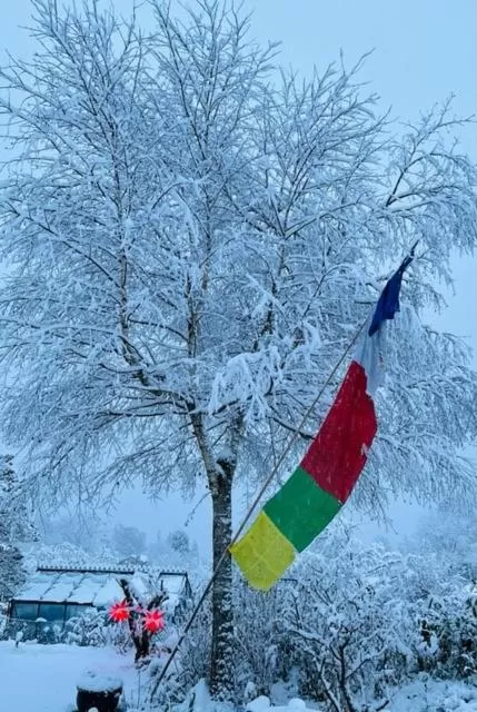 Winter in Bed and Breakfast Bavaria München