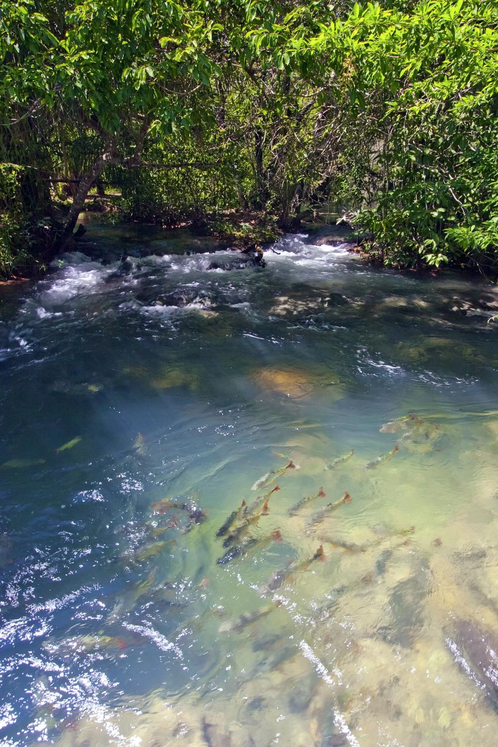 Natural landscape in Hotel Santa Esmeralda
