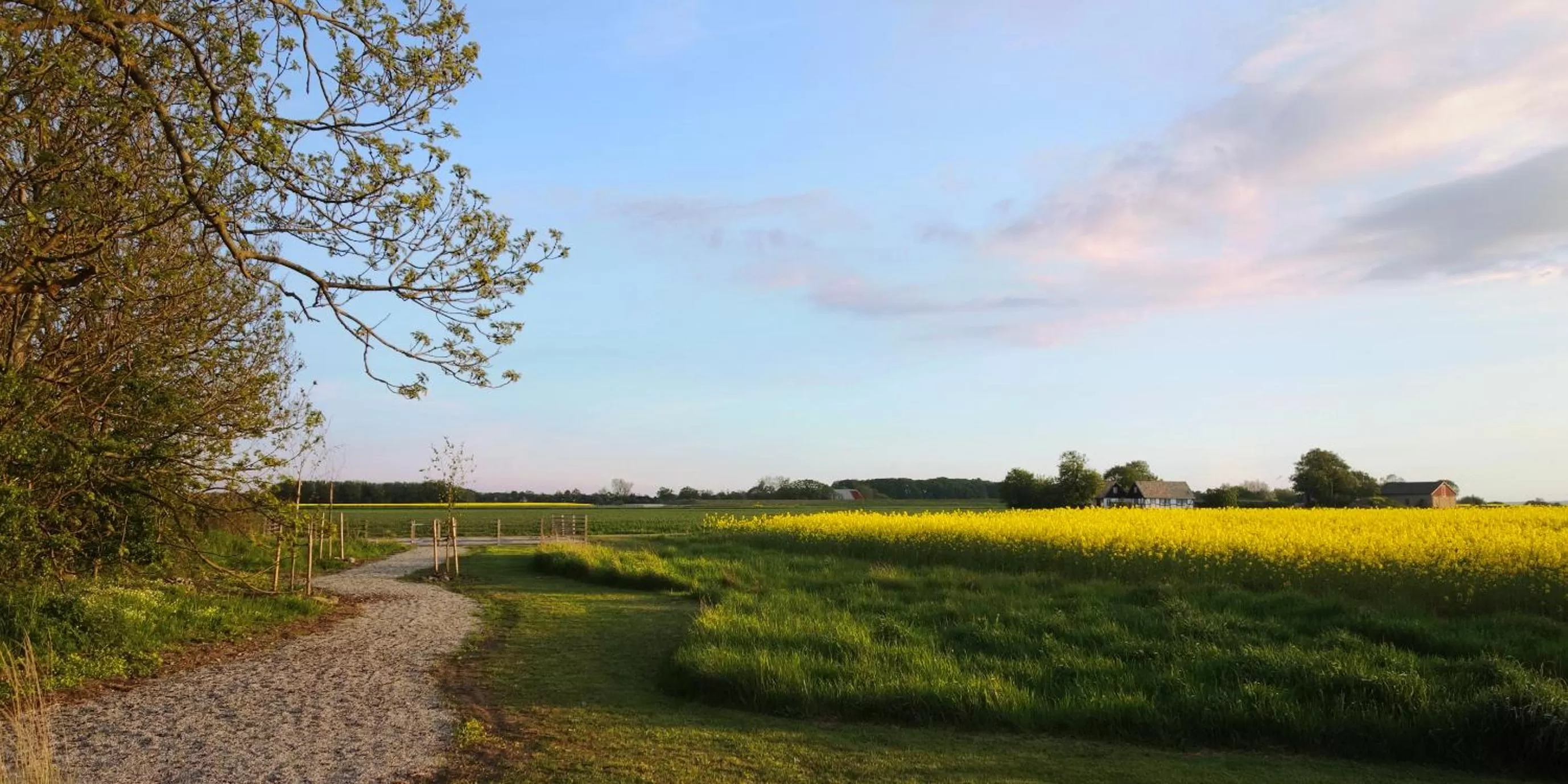 Neighbourhood in Vikens bed and Breakfast