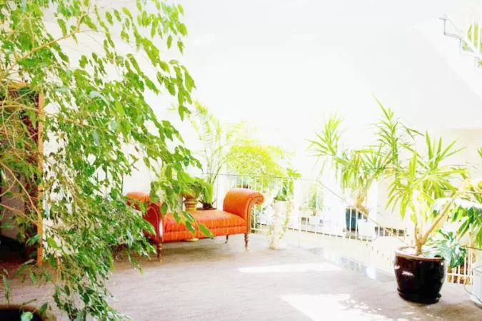 Property building in DM Hotels & Apartments - Hotel Deutsches Haus