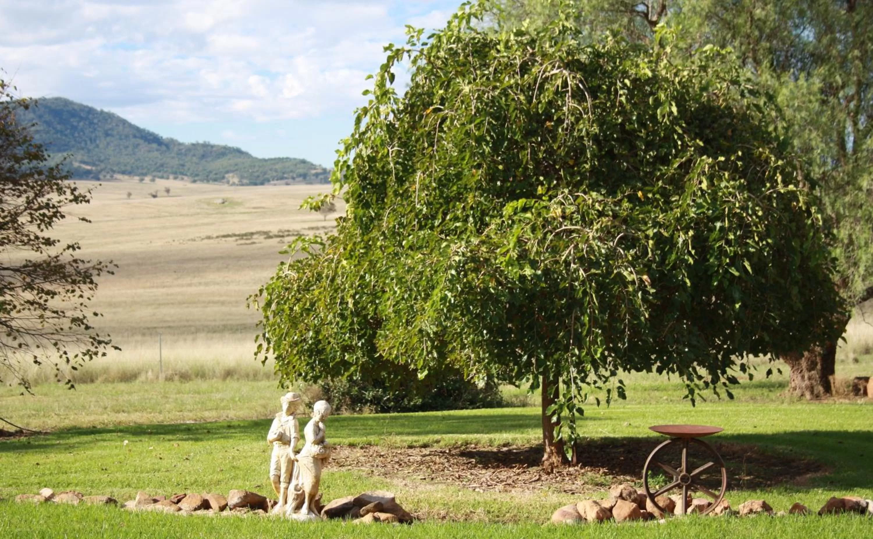 Garden view in Strathearn Park Lodge