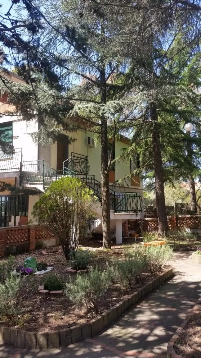 Garden in Villa Morgante B&B