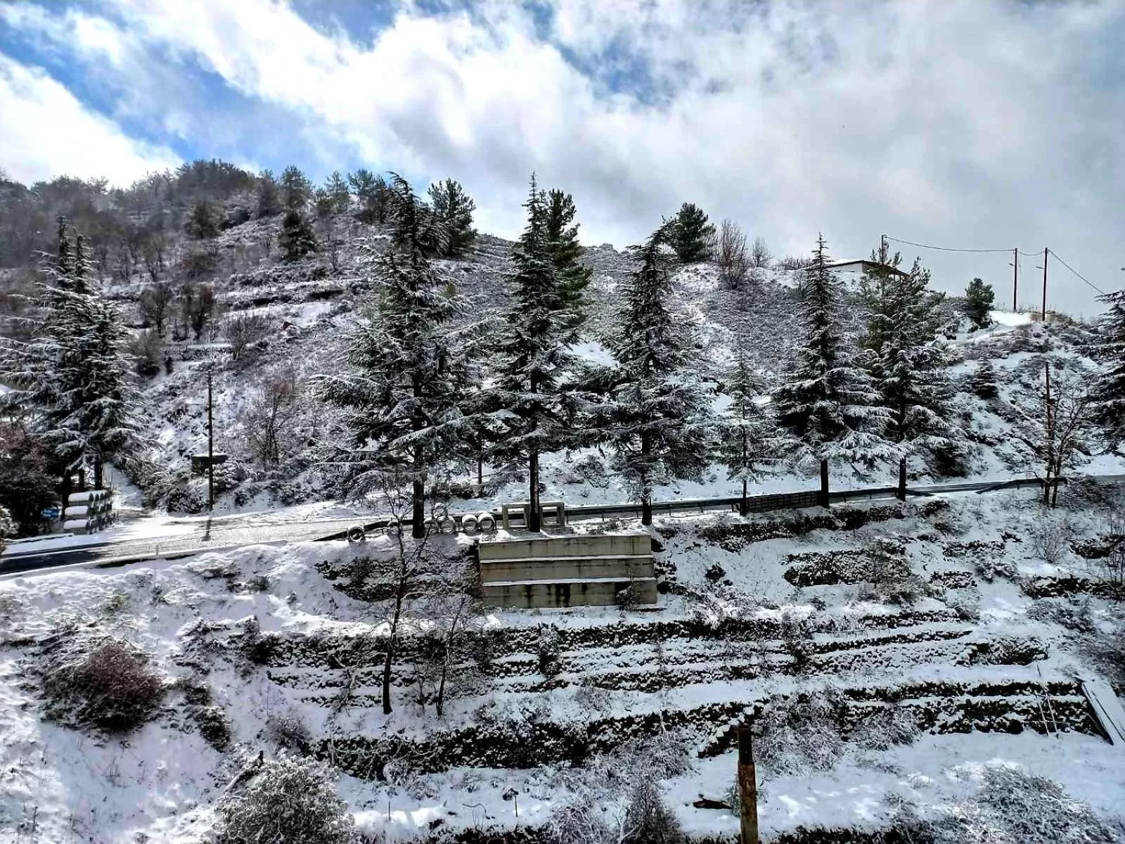 Natural landscape in Agros Green Valley Suites