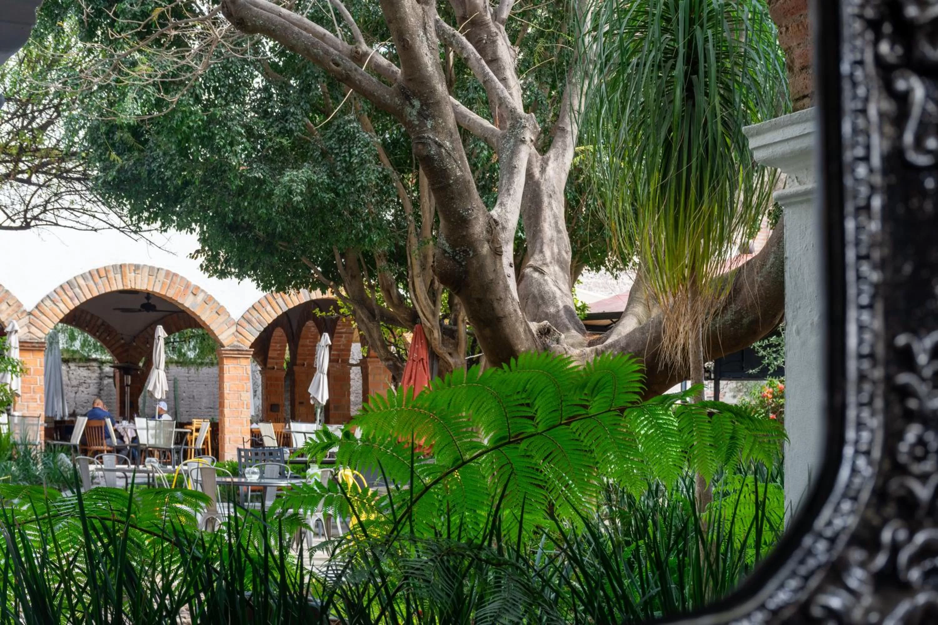 Garden in Hotel Hacienda San Cristóbal