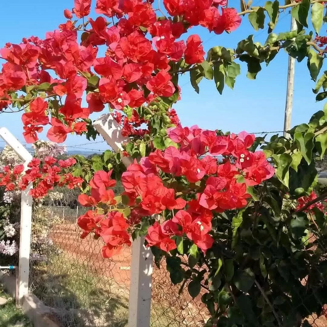 Pousada e Chales Por do Sol